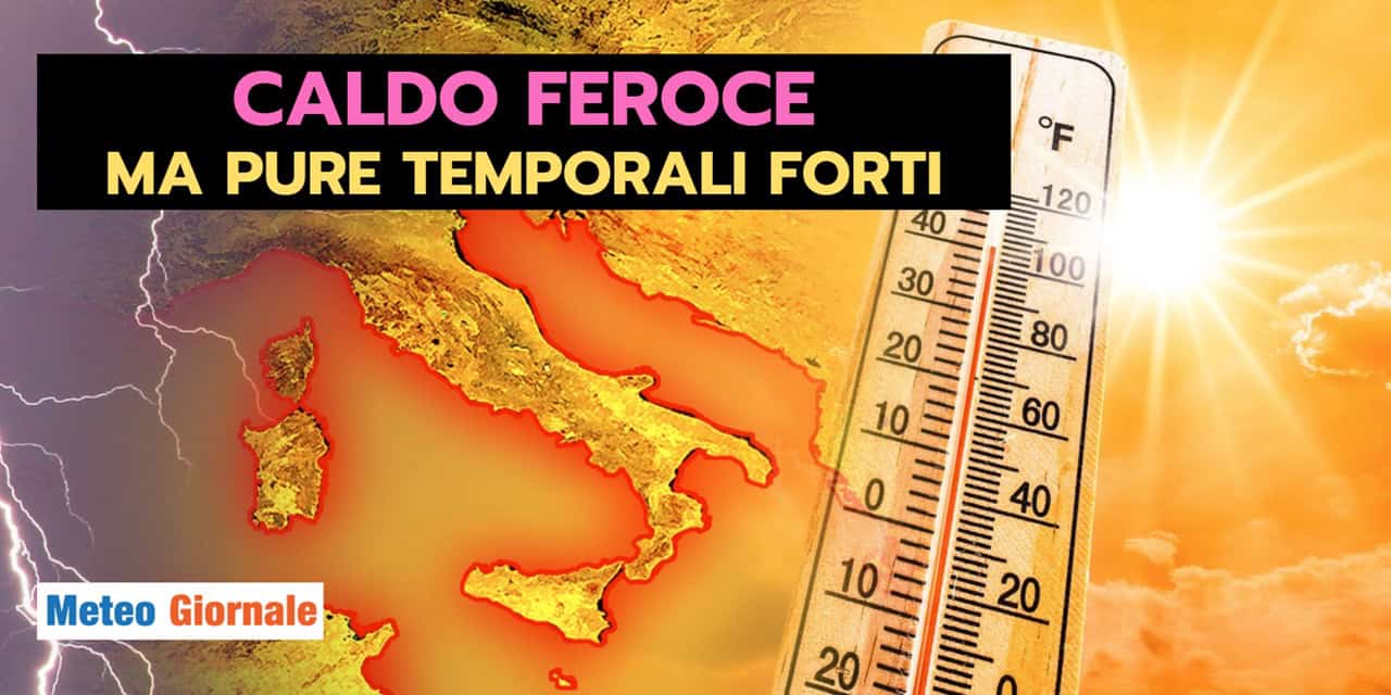 feroce 0906