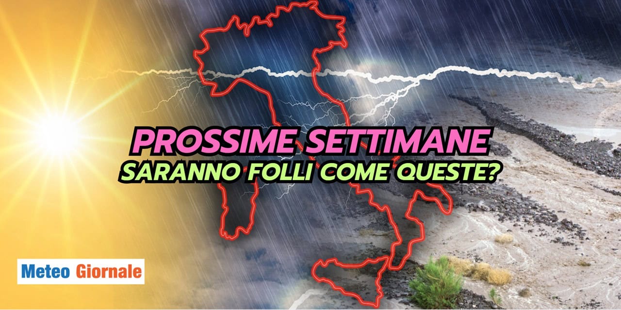 folli 2506