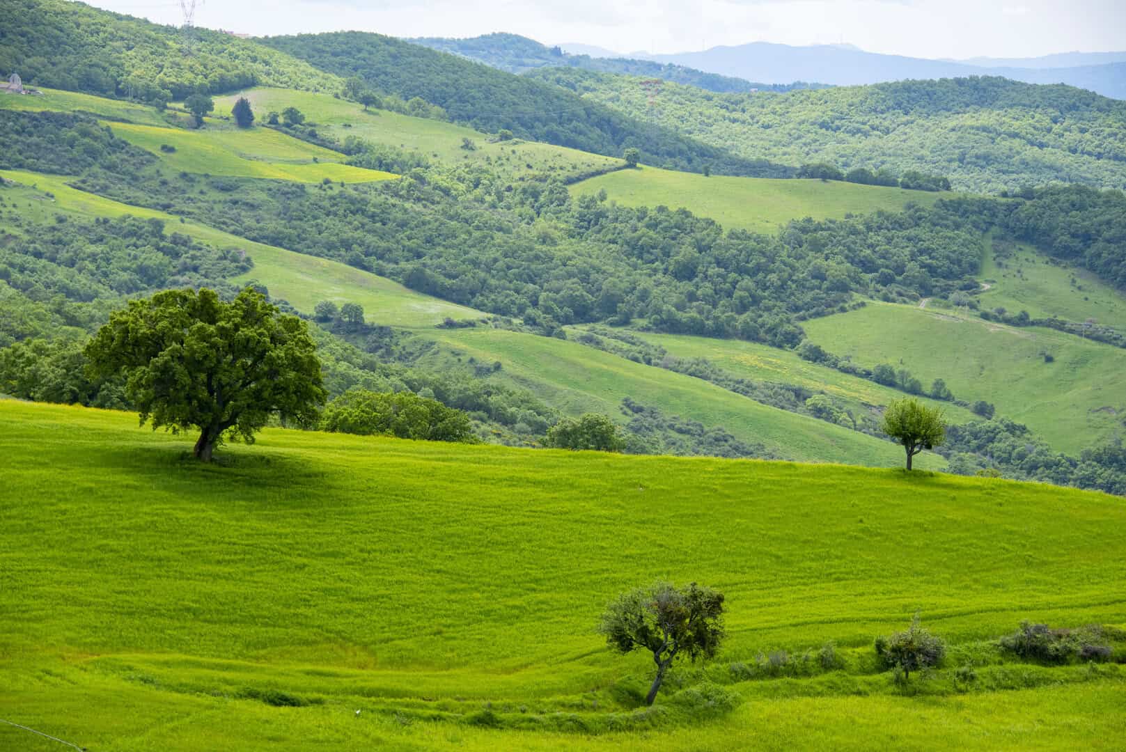 Turismo nella Basilicata selvaggia: un’escursione nel parco di Gallipoli Cognato
