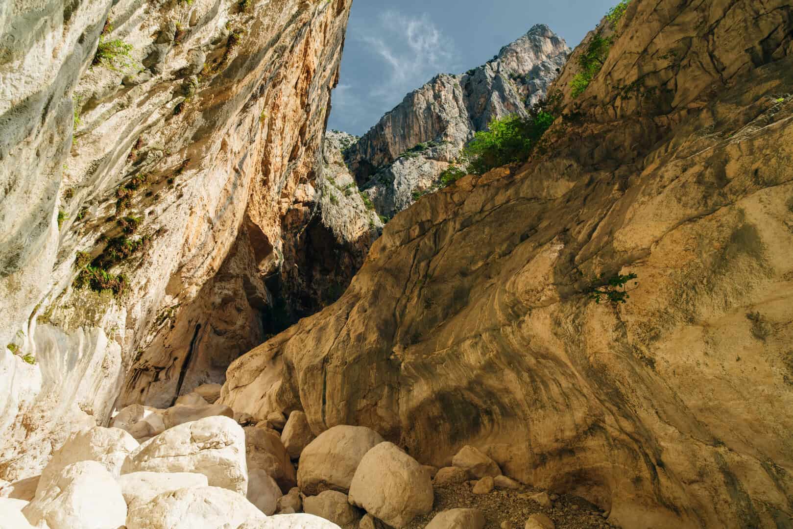 Turismo nell'”altra” Sardegna: alla scoperta del parco del Gennargentu