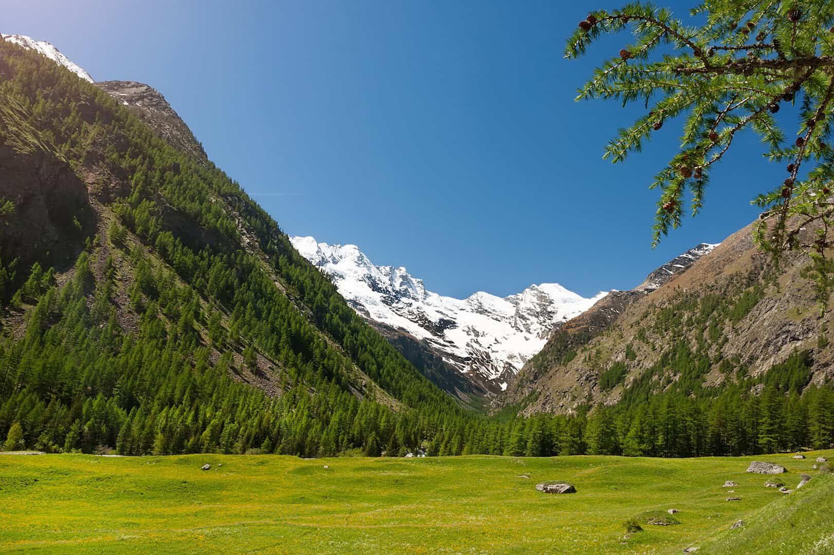 Viaggio nel parco del Gran Paradiso: la maestosità dei paesaggi d’alta quota delle Alpi Occidentali