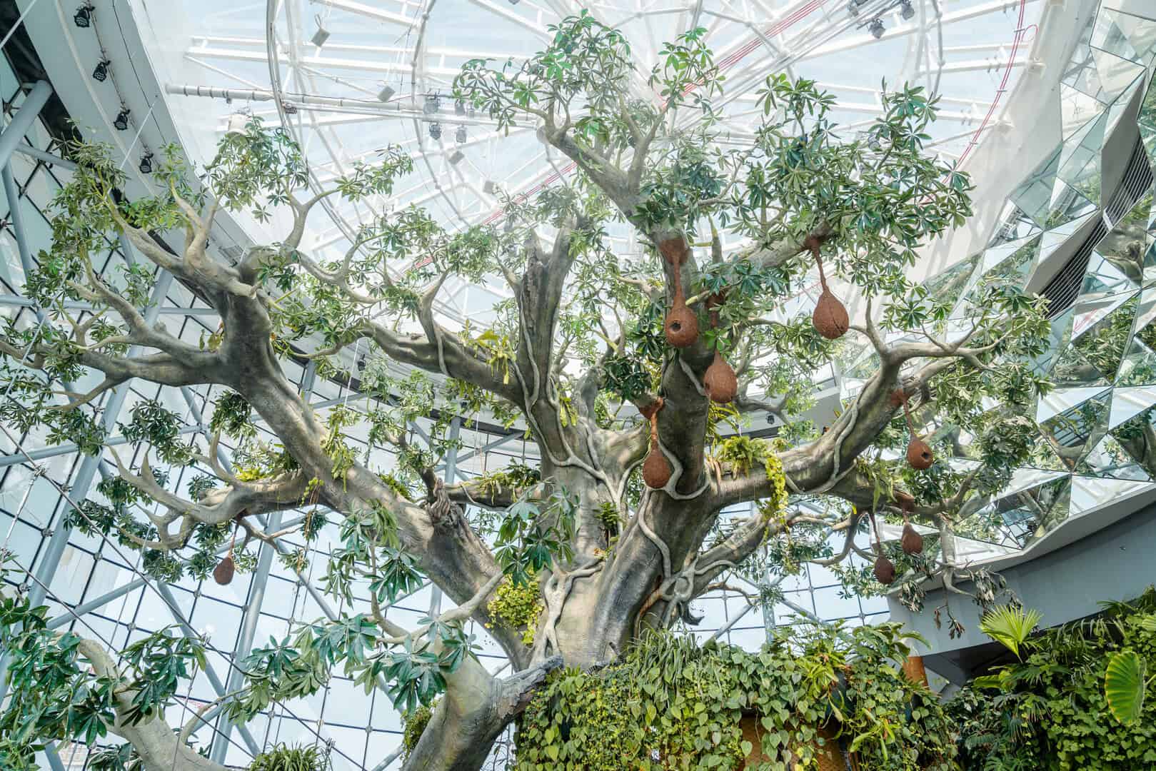 green planet dubai