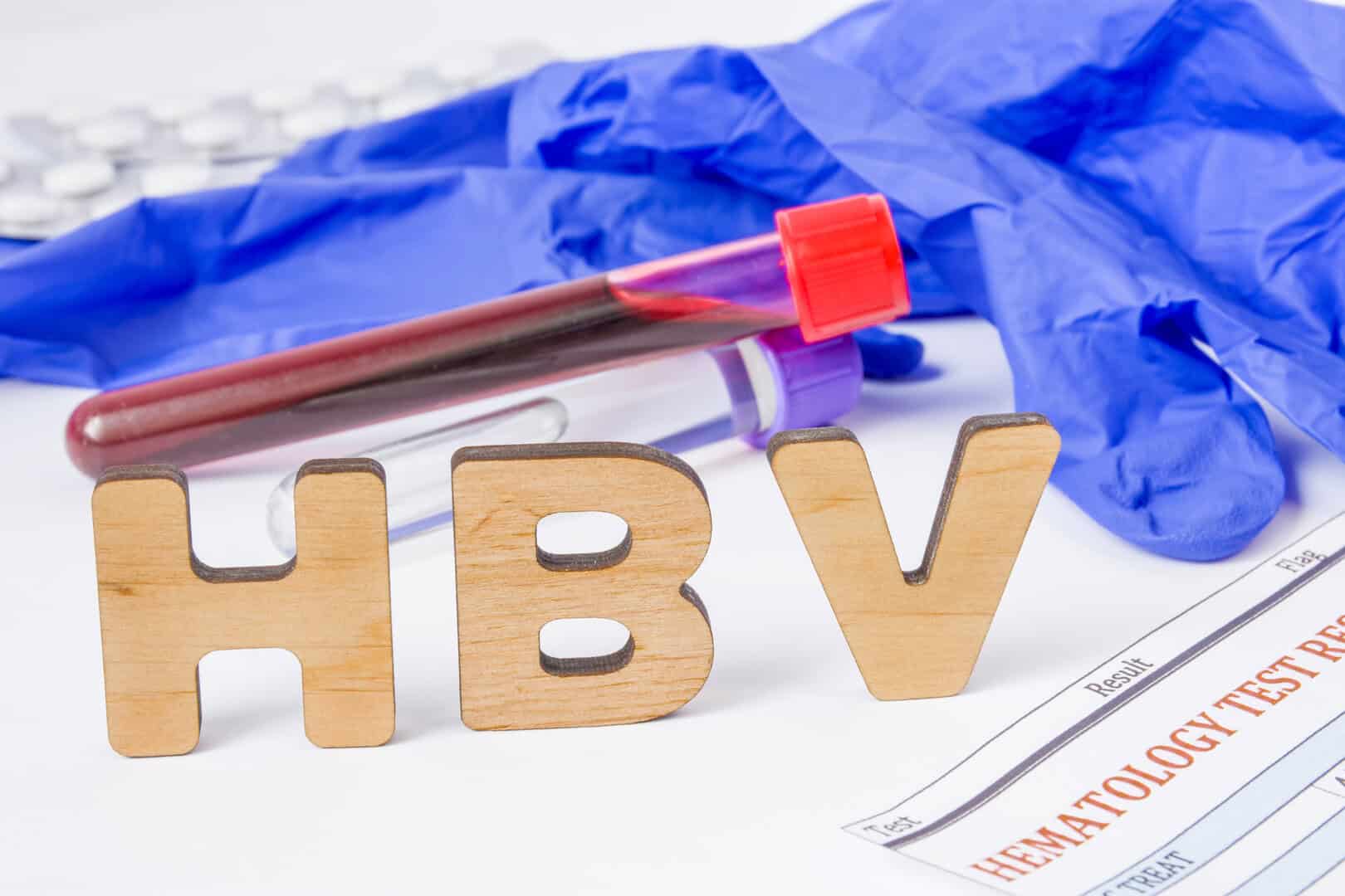 hbv virus epatite b