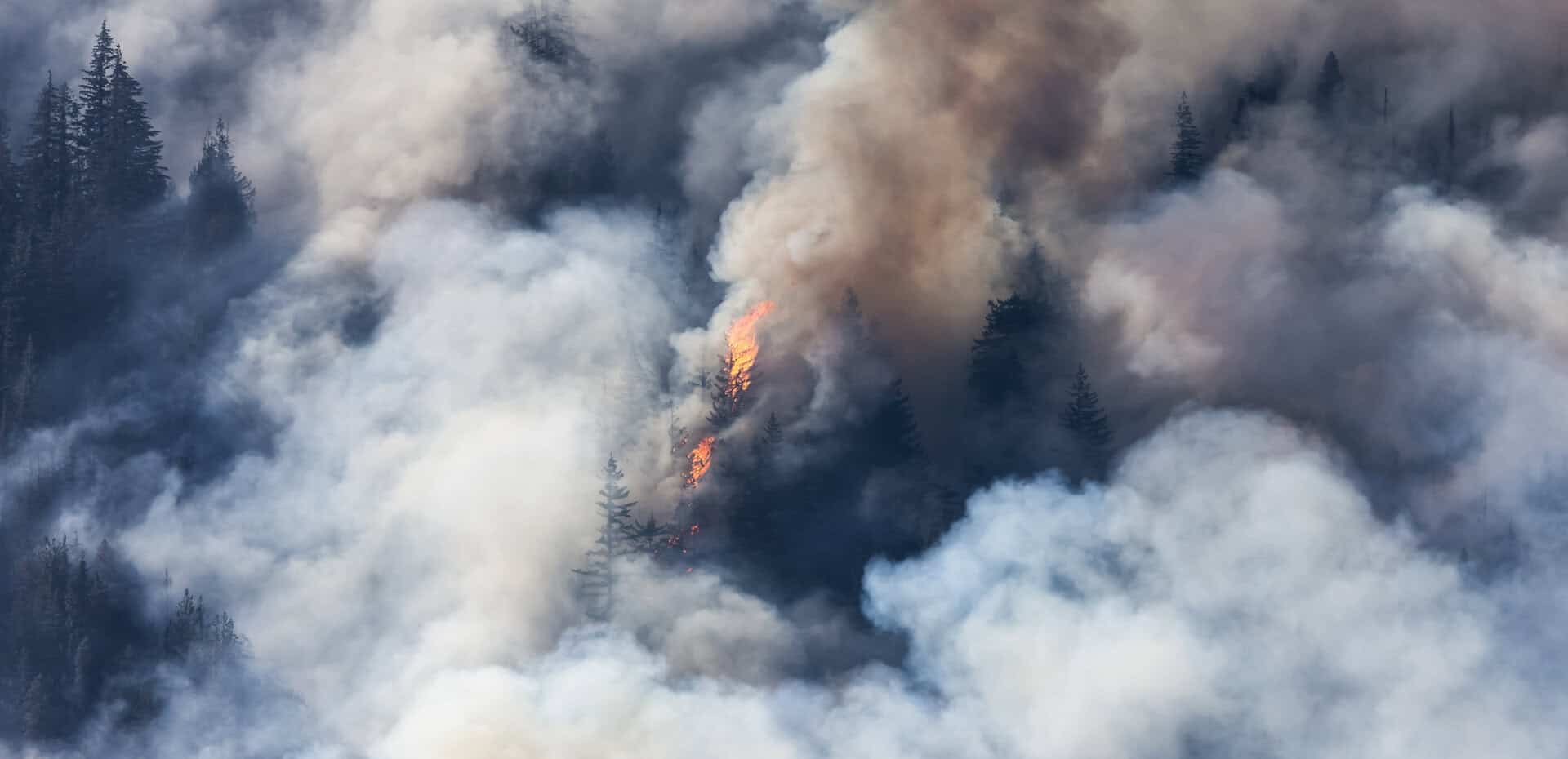 Incendi in Canada del 2023 emettono quattro volte più delle emissioni degli aerei annuali