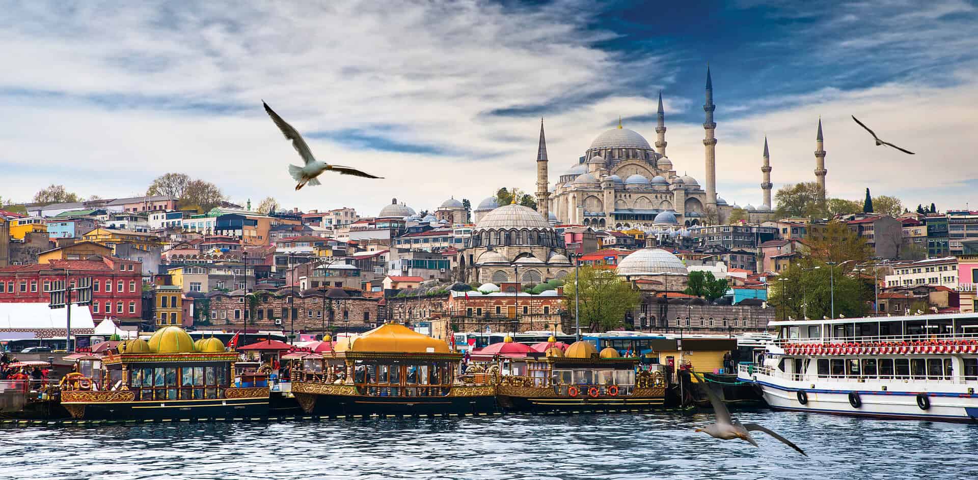 istanbul panorama gabbiani