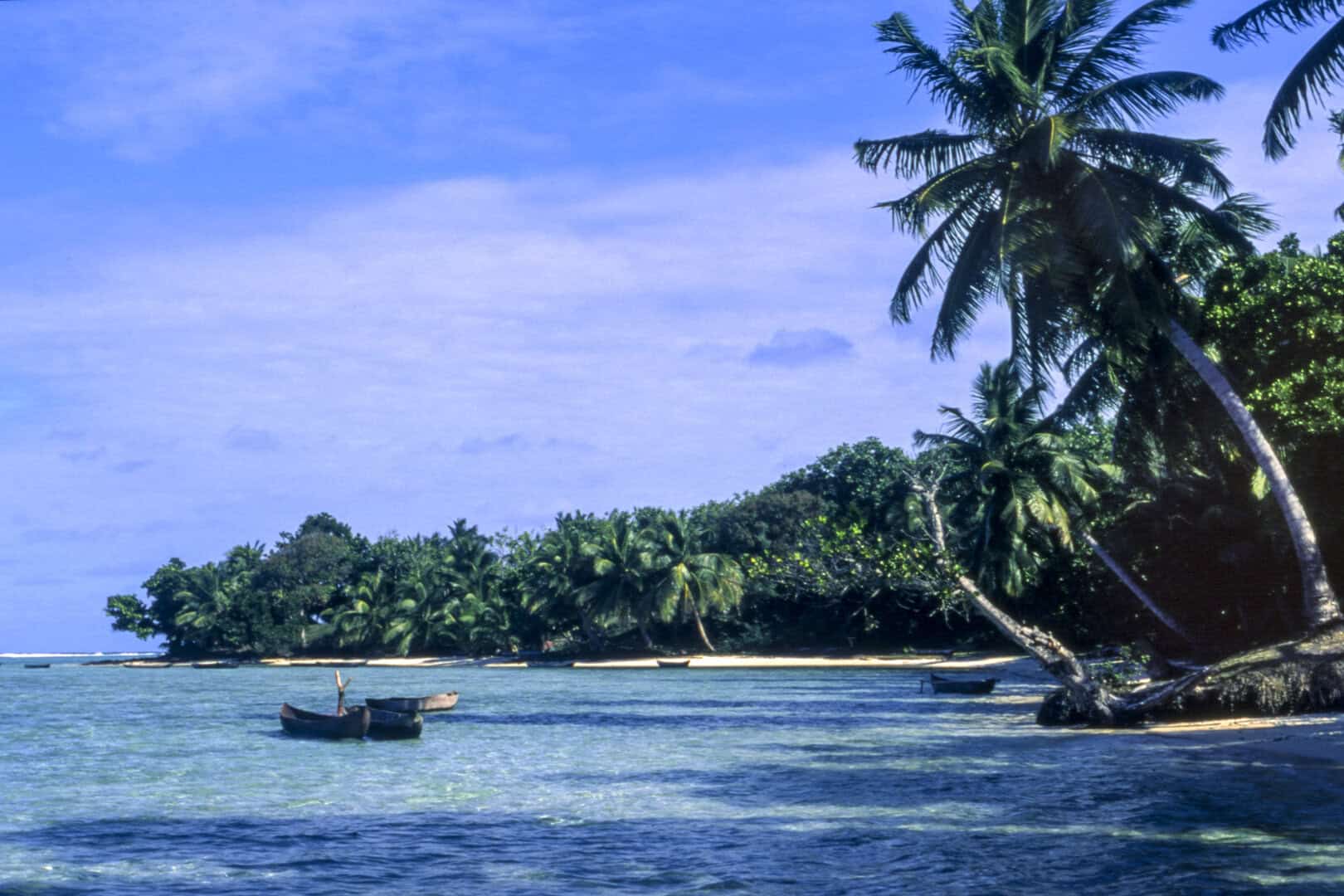 Viaggio a Île aux Nattes, Madagascar: alla scoperta di un eden naturale