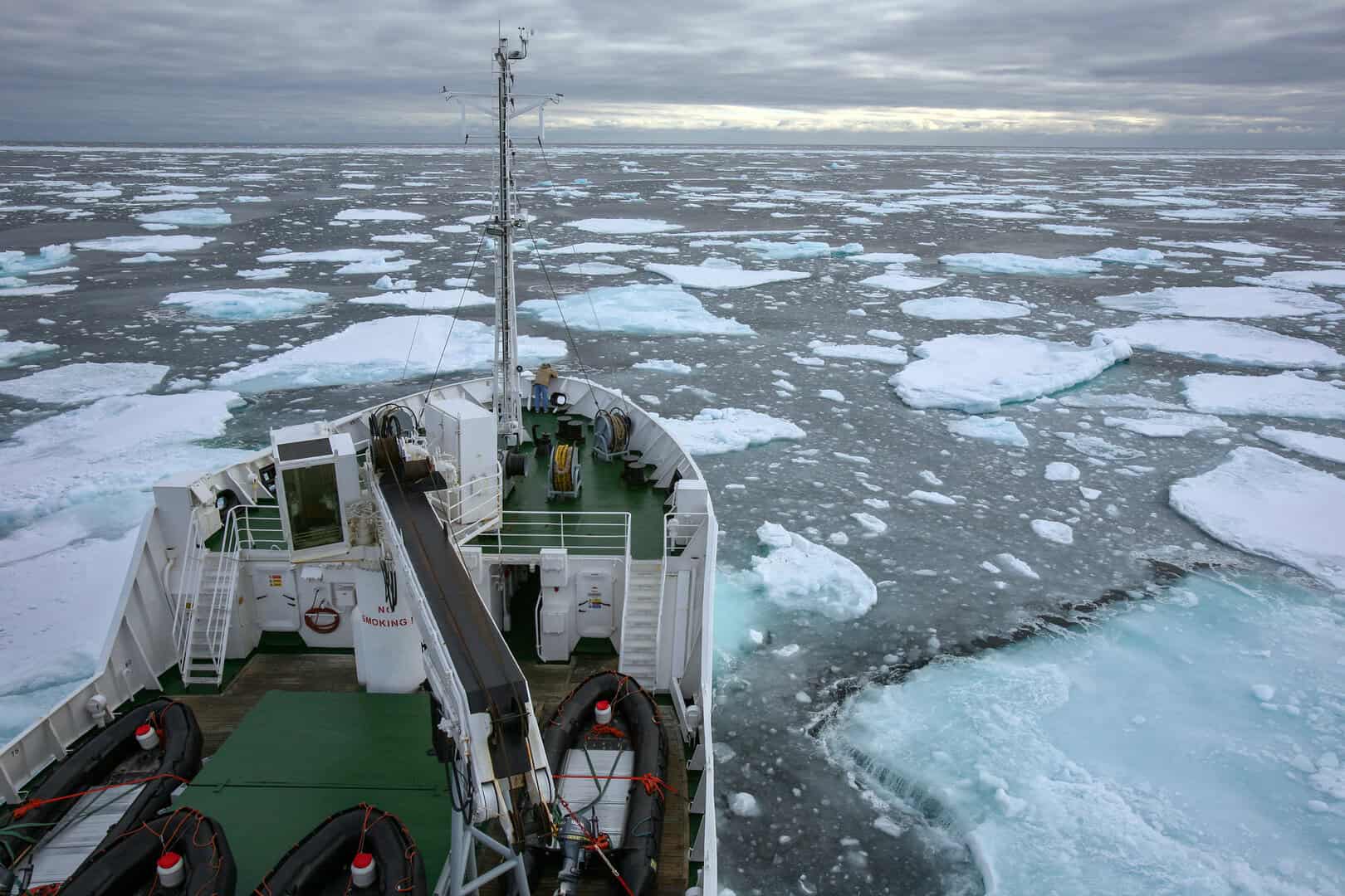 Il mare di Wandel, una regione marittima fondamentale nell’ecosistema artico