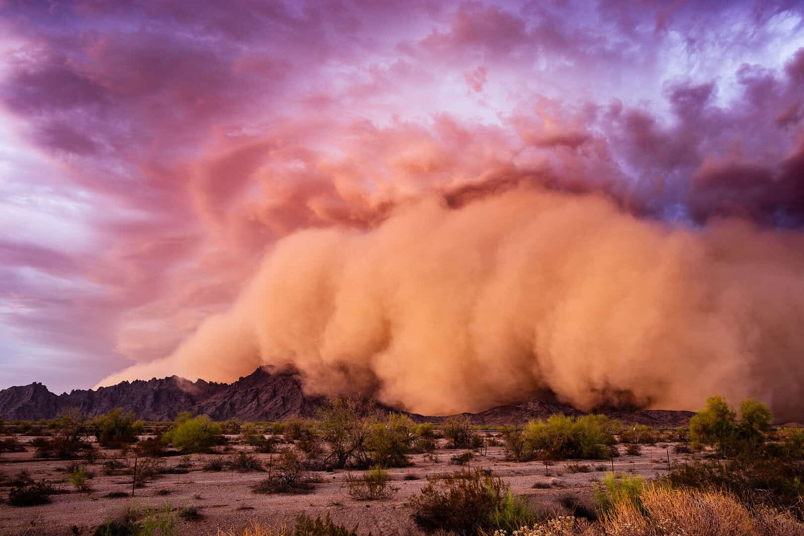 Una massiccia nube di polvere dal Sahara sta per raggiungere il Golfo del Messico: niente di strano? Forse no