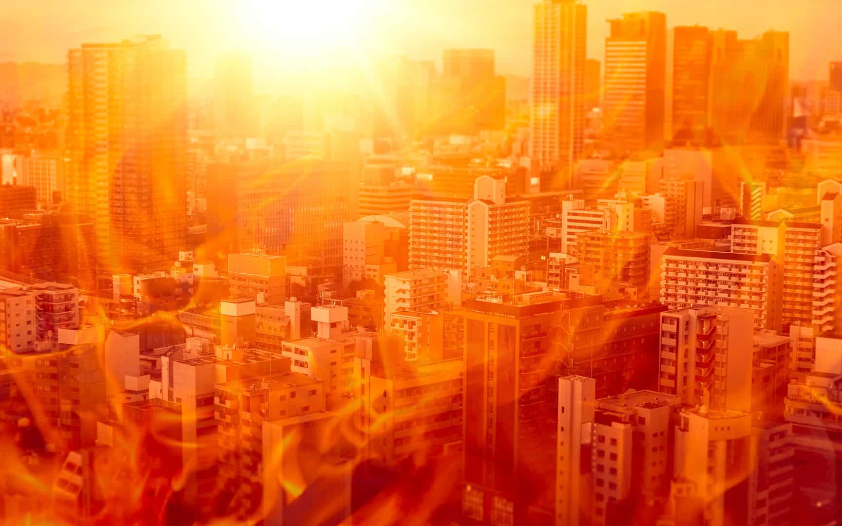 Ondate di calore: perché sono sempre più frequenti e letali?