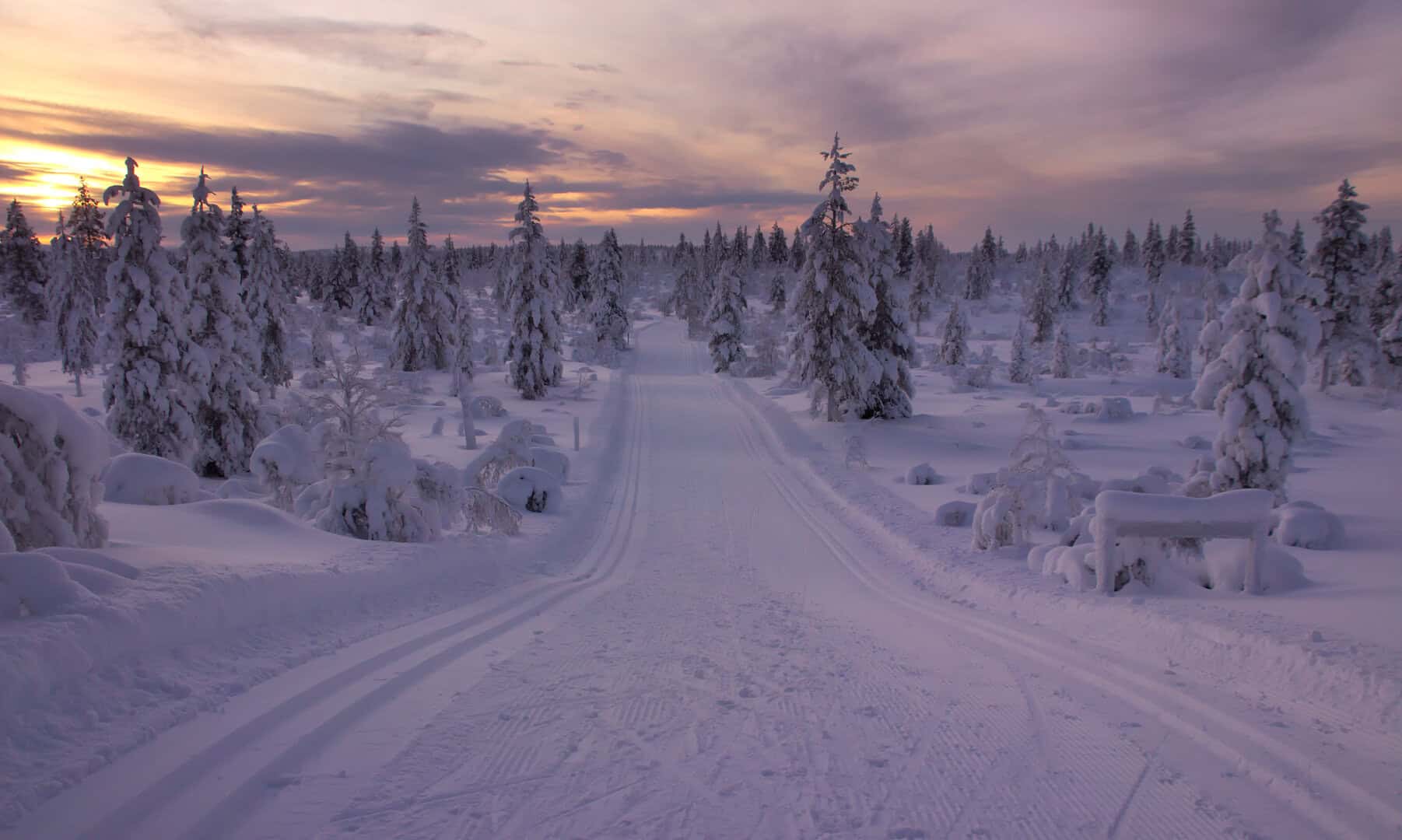 parco urho kekkonen