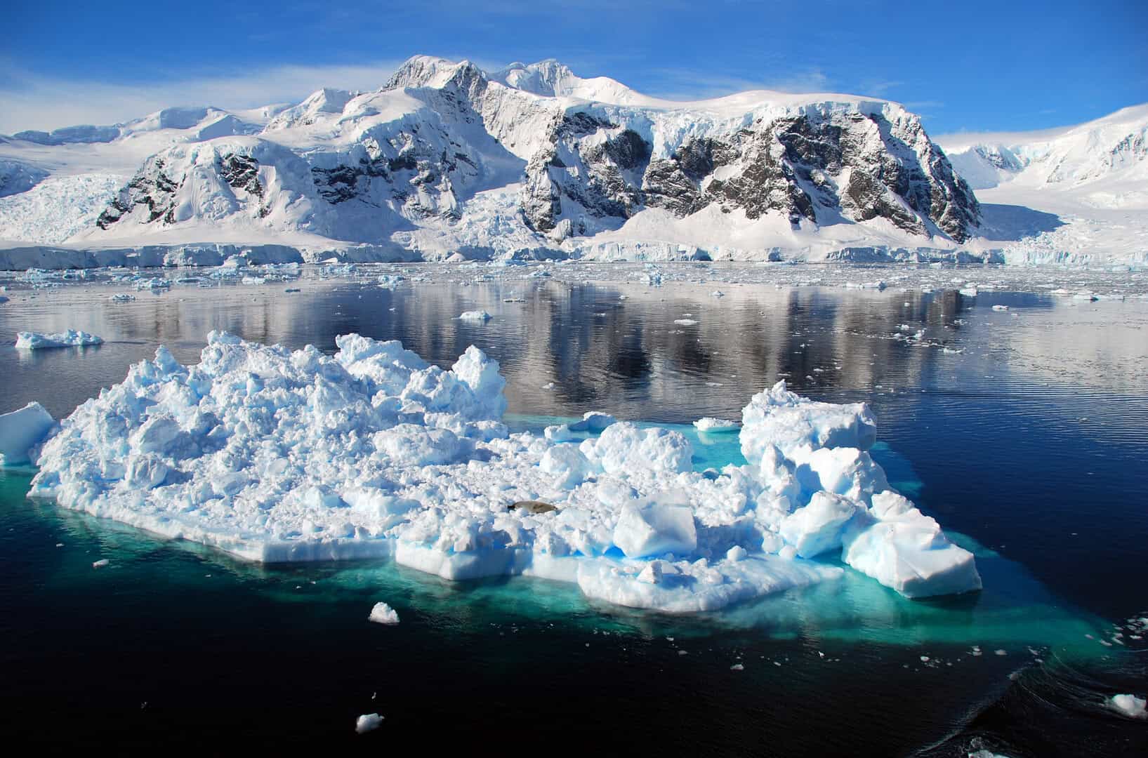 Evento raro ogni 2000 anni: studio spiega la perdita di ghiaccio antartico equivalente a 10 volte la dimensione del Regno Unito
