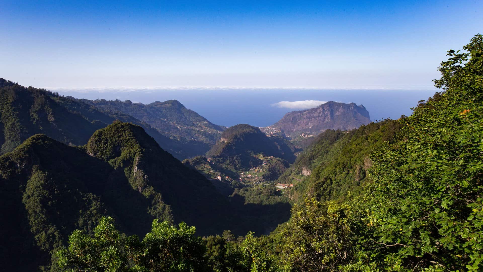 Viaggio nella Madeira meno nota: immergiti nella natura rigogliosa di Porto da Cruz