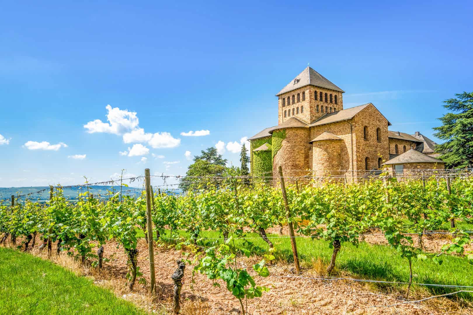 rheingau germania