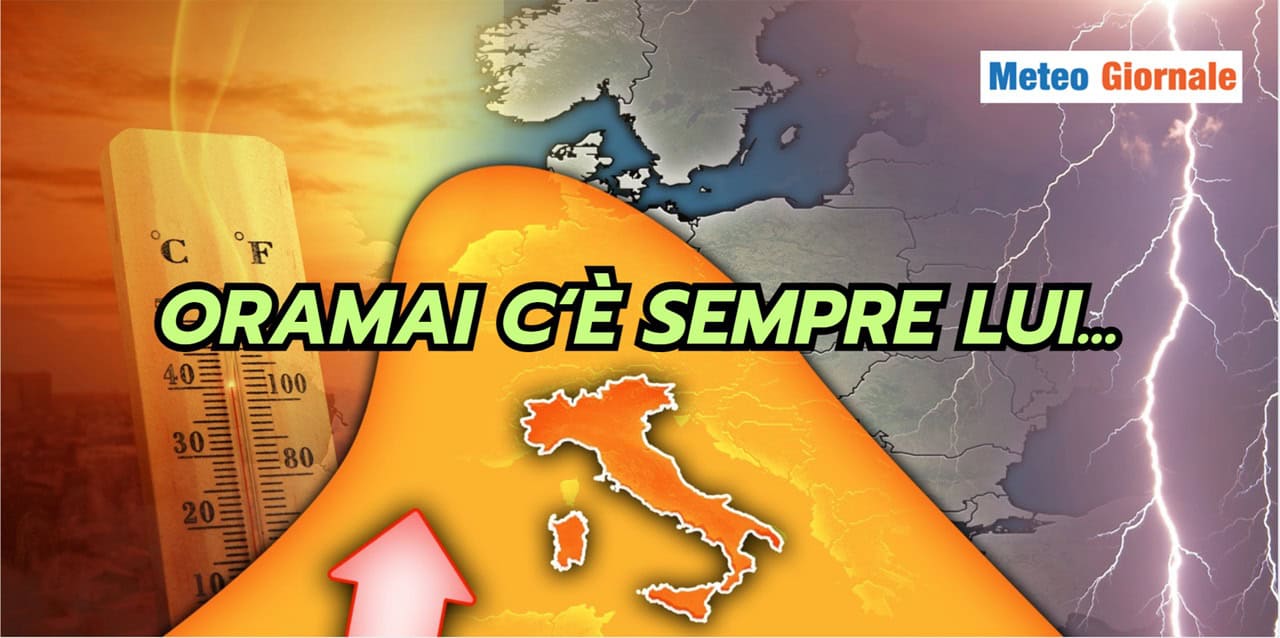 semprelui 1106