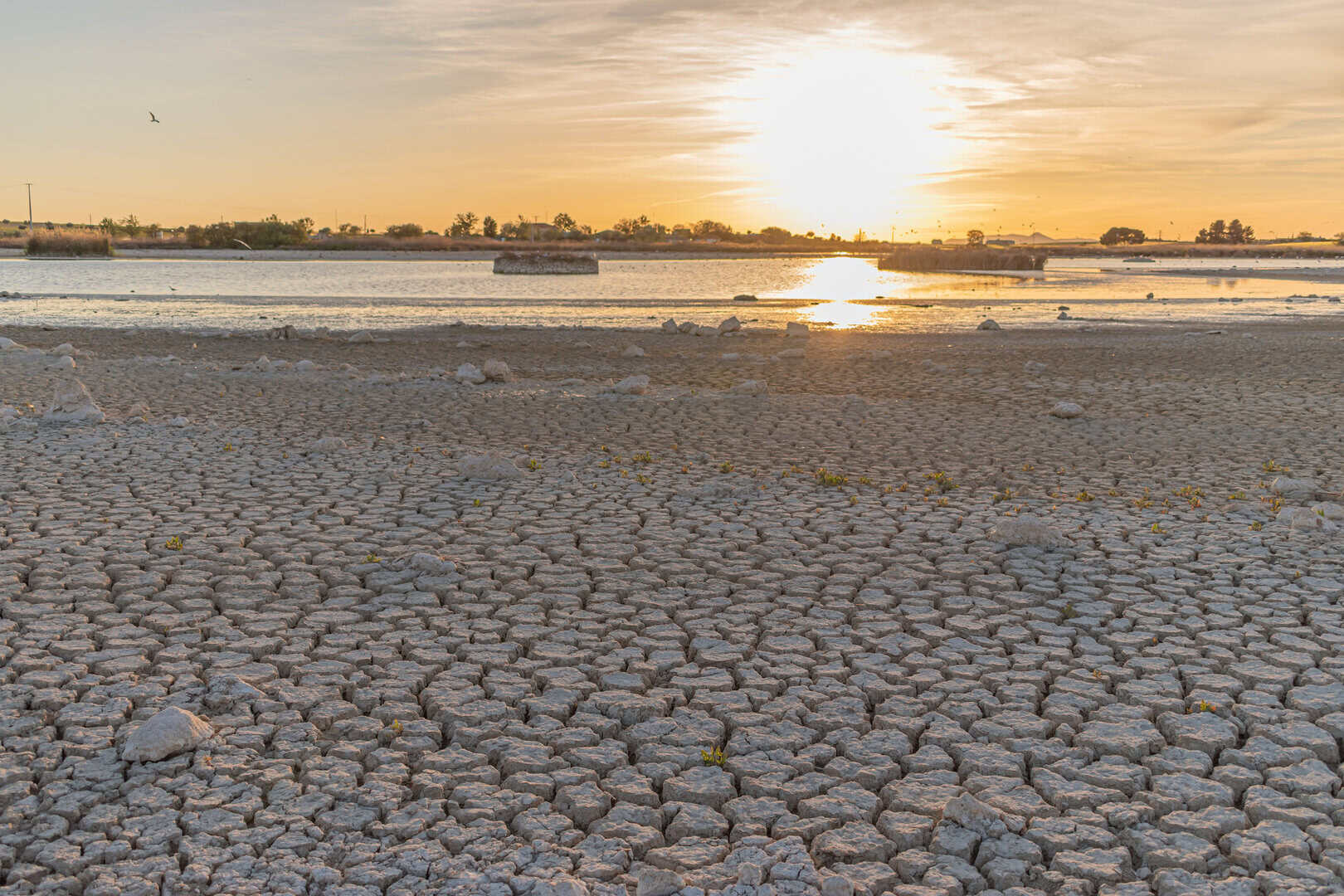 Per i cittadini spagnoli il cambiamento climatico è in atto e sono pronti ad agire