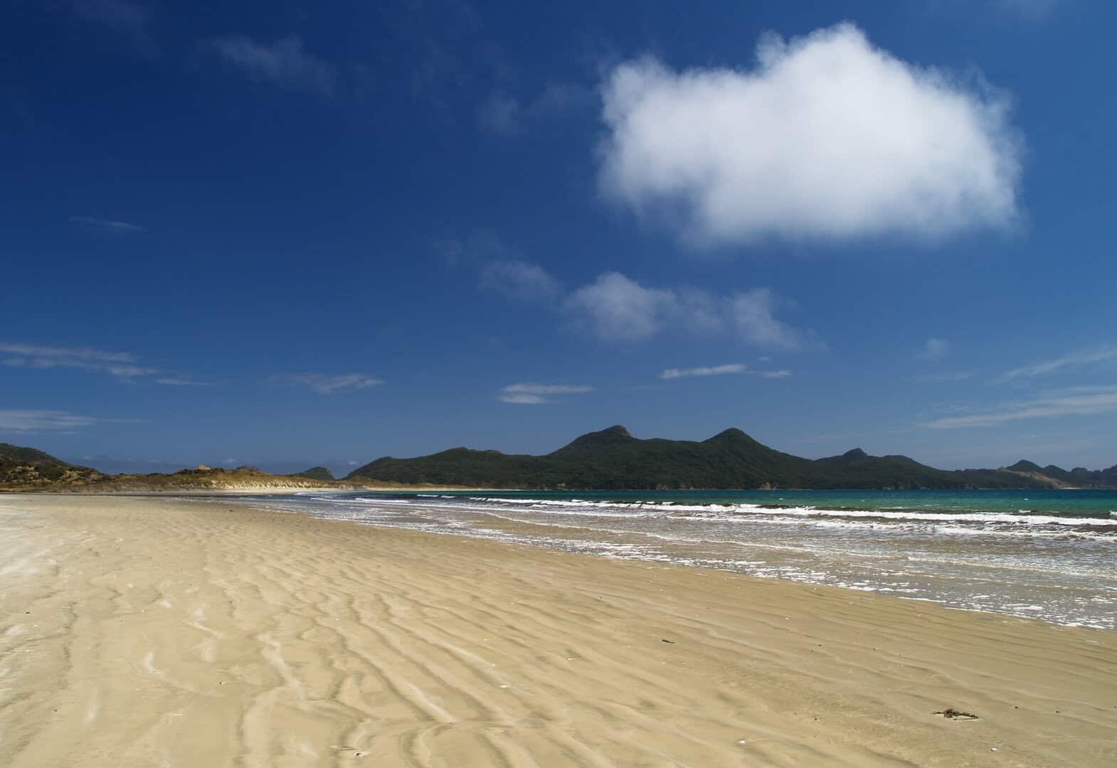 stewart island mason beach