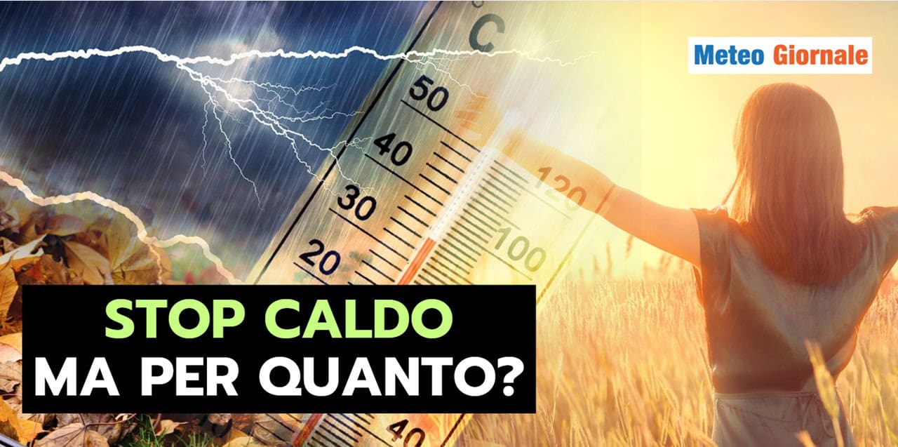 stocaldo 2306