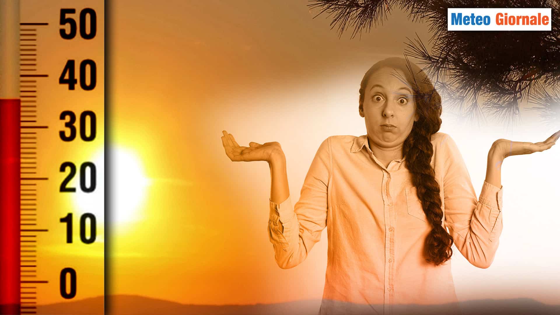 260724 F