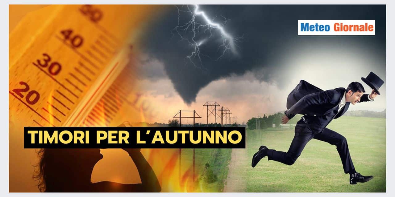 Copia di BOMBE DI GRANDINE 2024 07 26T104302.987