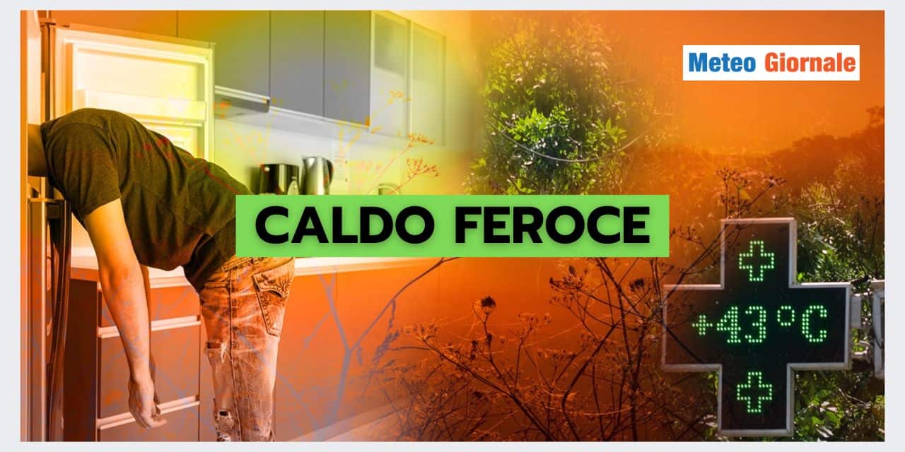 Copia di BOMBE DI GRANDINE 2024 07 26T105300.174