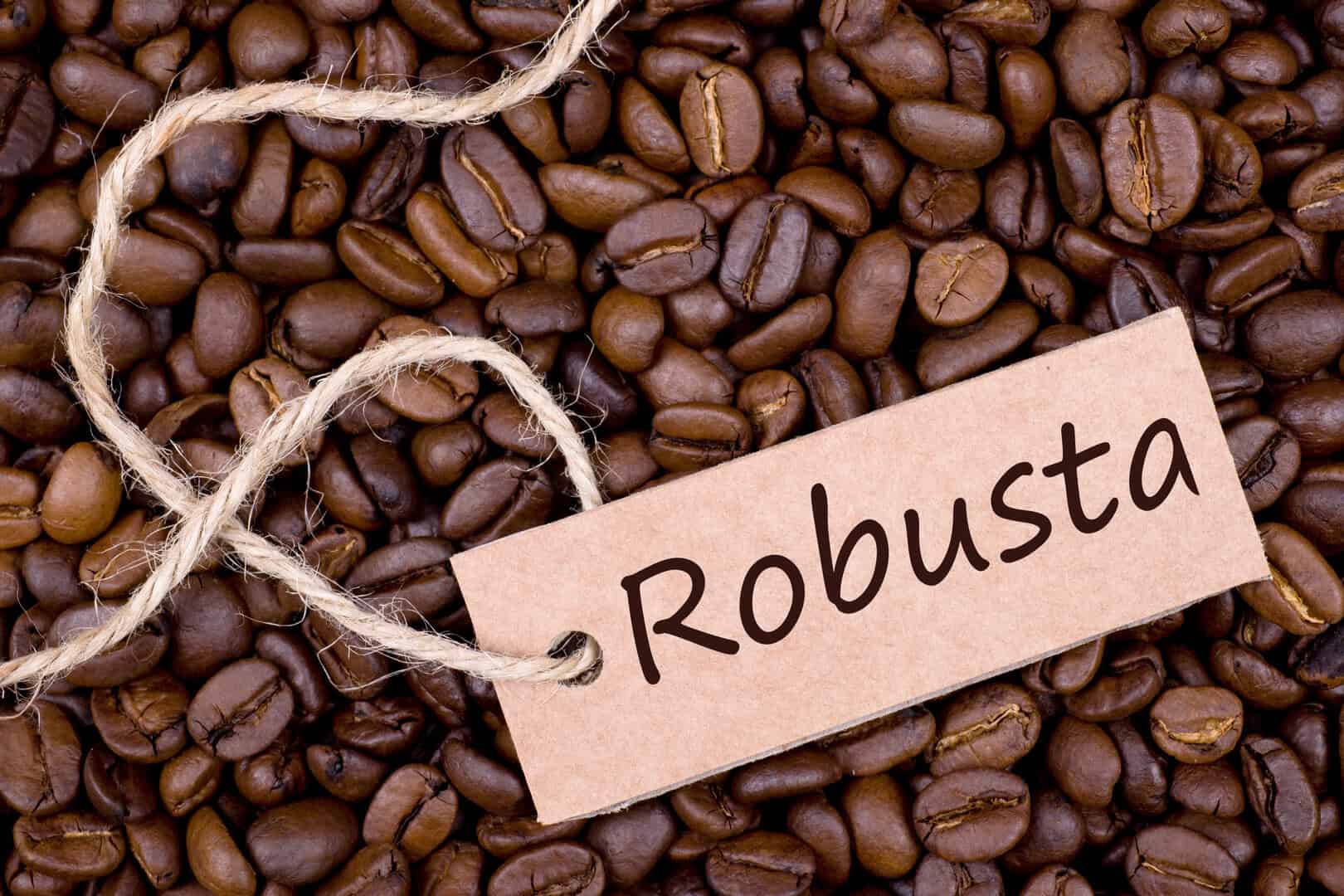 caffe varieta robusta