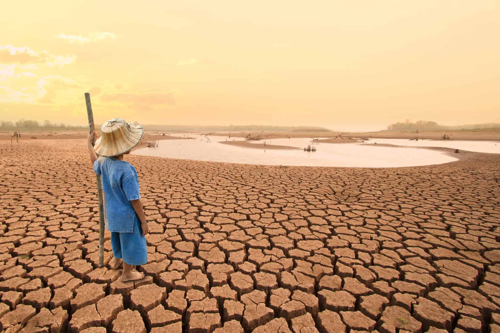 Cambiamenti climatici: come dare voce a chi non ce l’ha