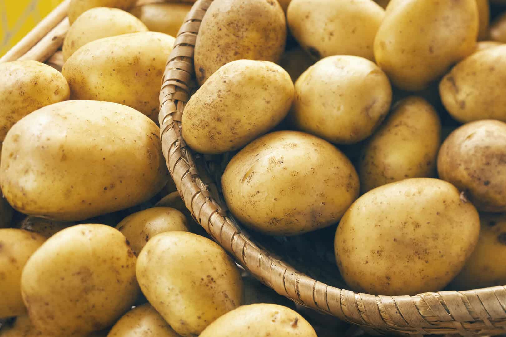Patate amare e lattughe impoverite: l’impatto del cambiamento climatico sulla dieta mediterranea