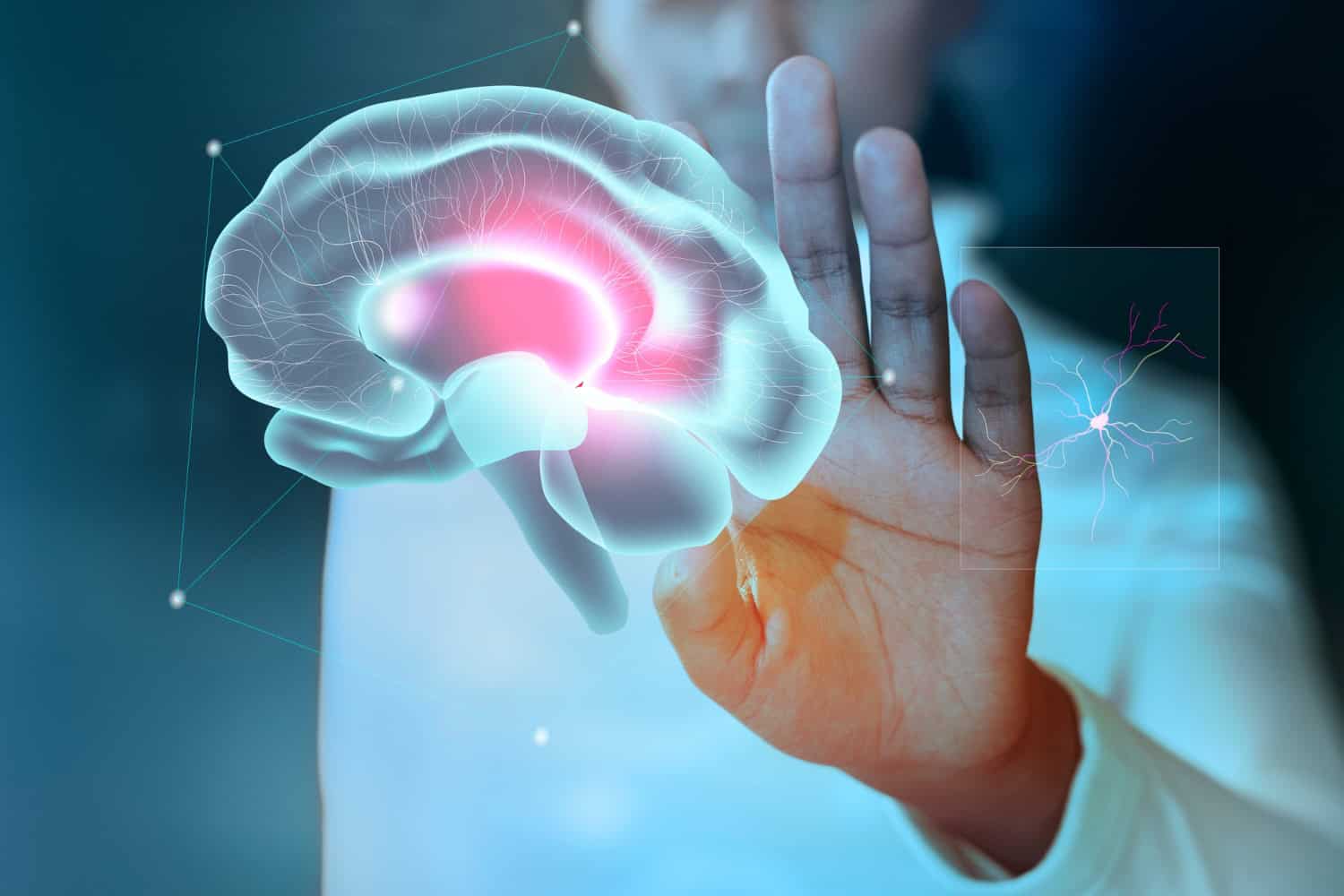 comprendere funzionamento cervello