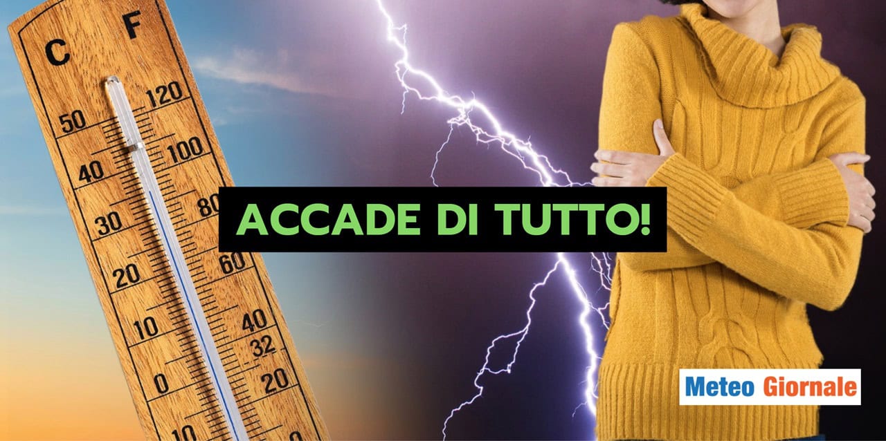ditutto 0207