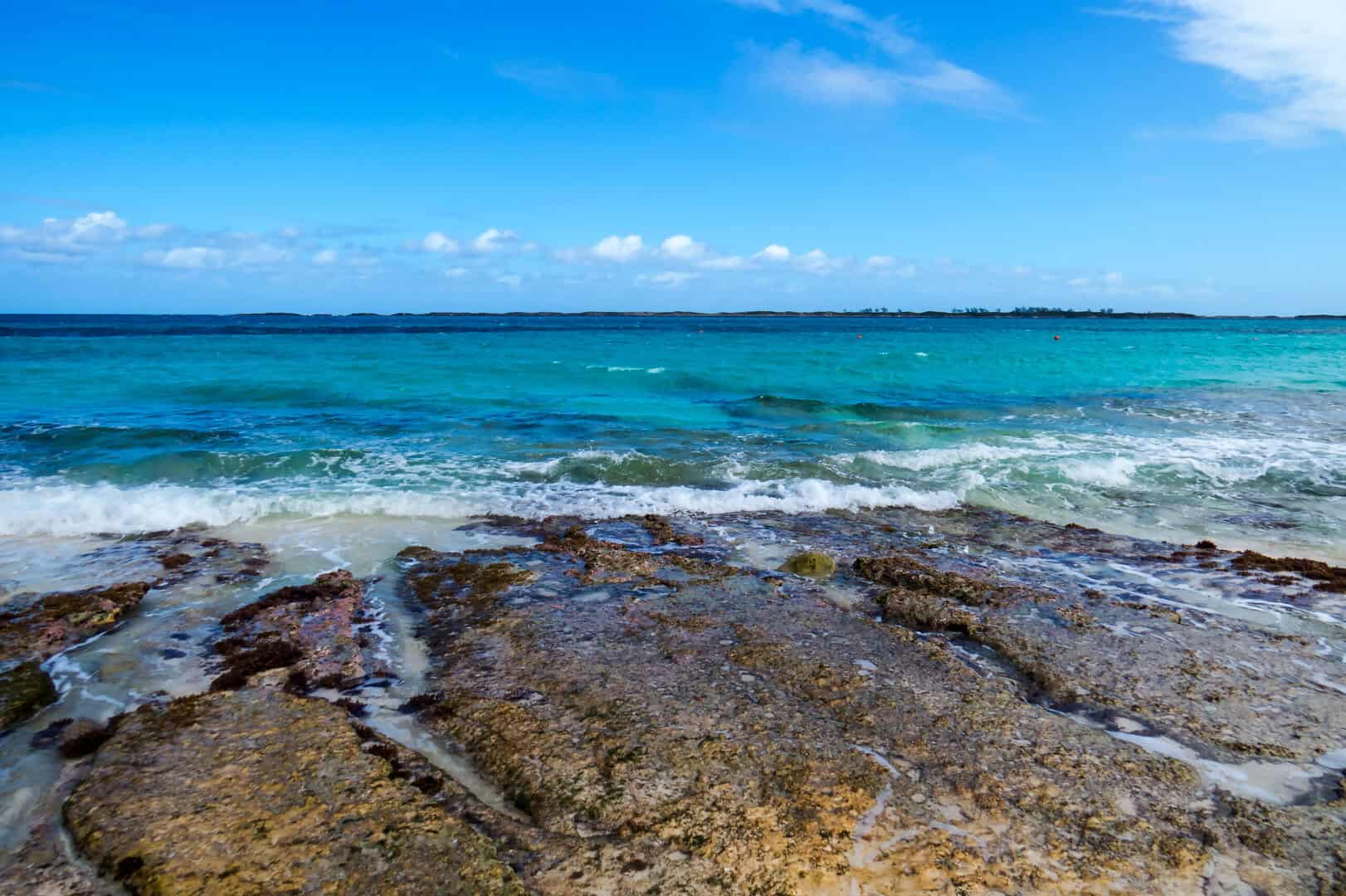 dreamstime l 89280162 scaled