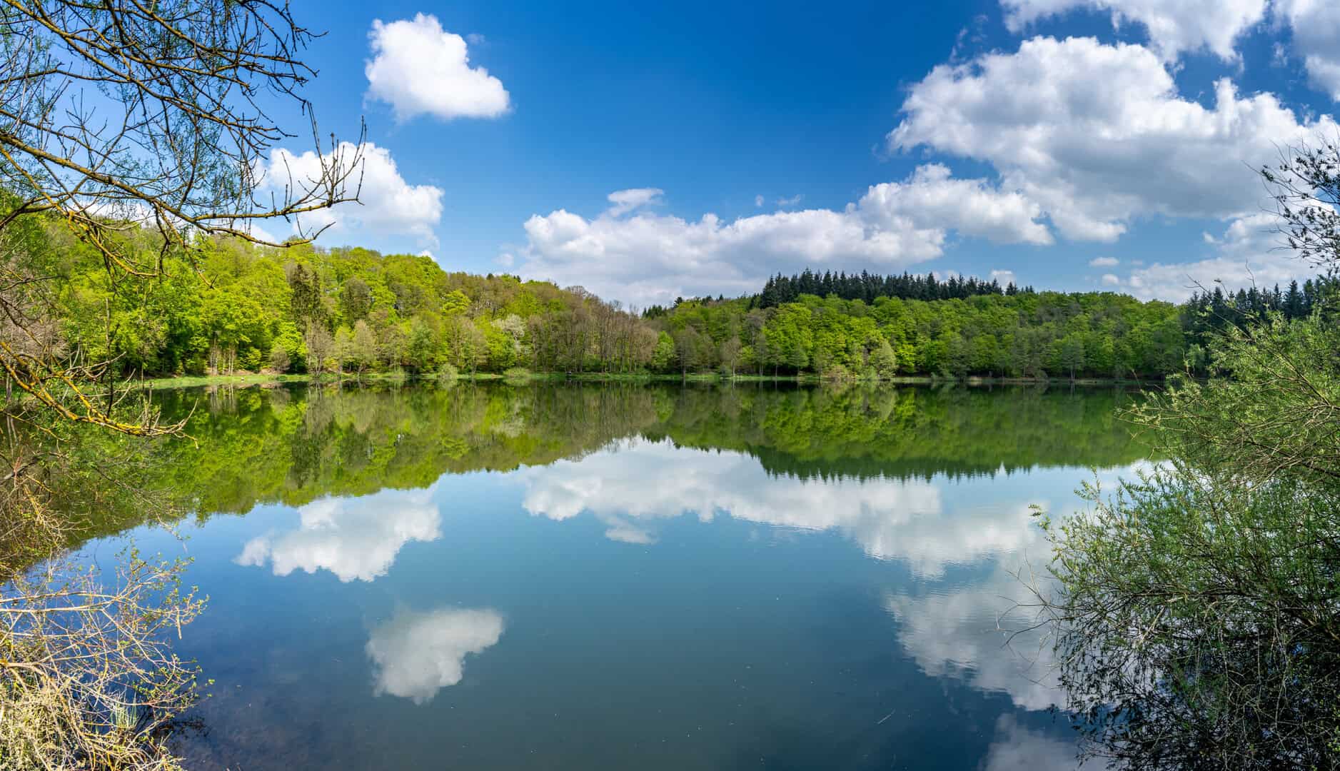 dreamstime m 149605144