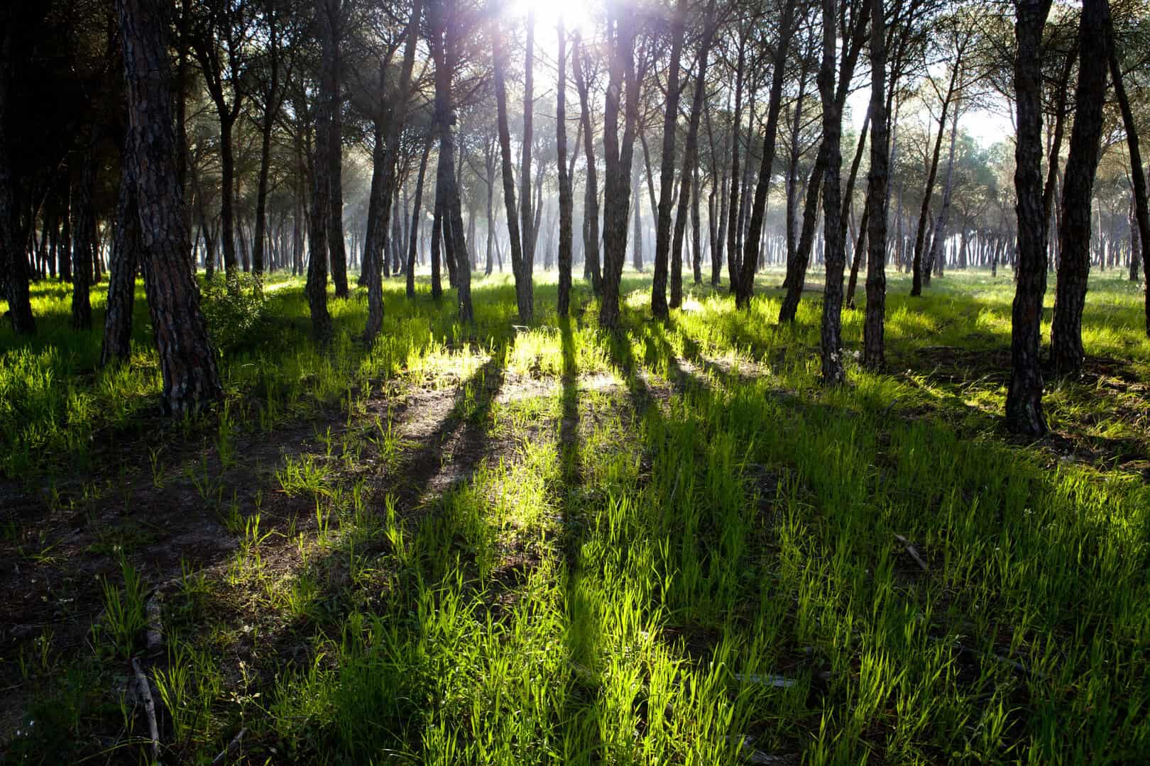 dreamstime m 53091710