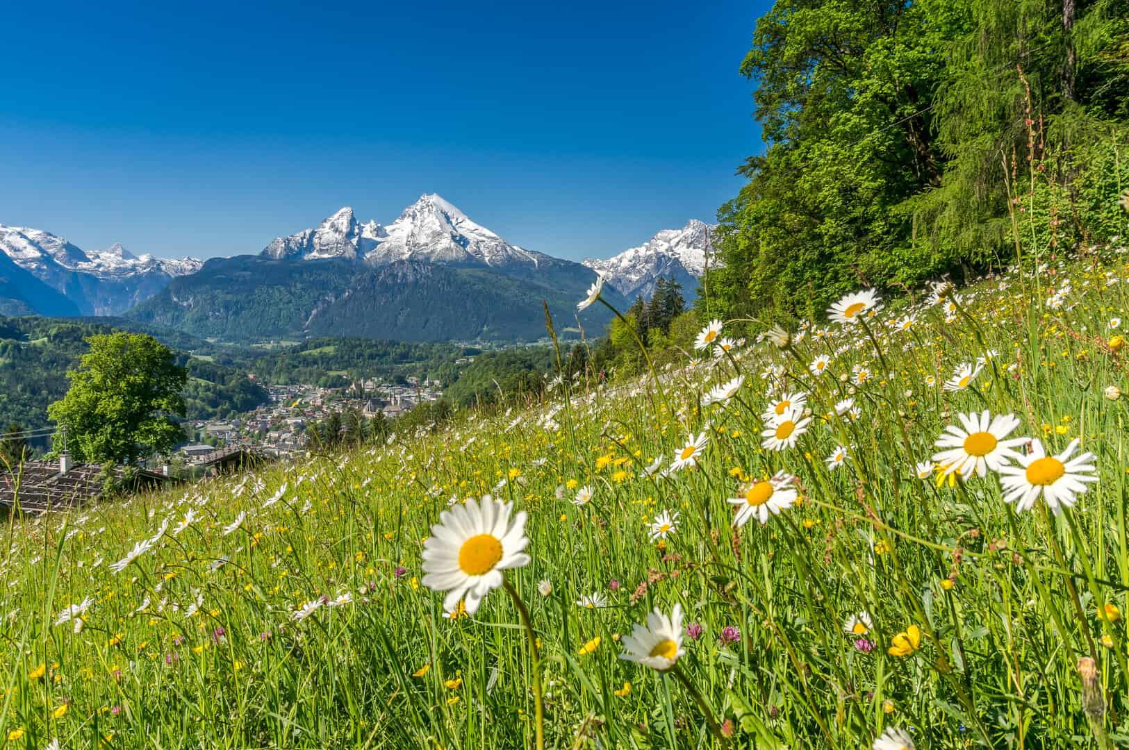 dreamstime m 59772985