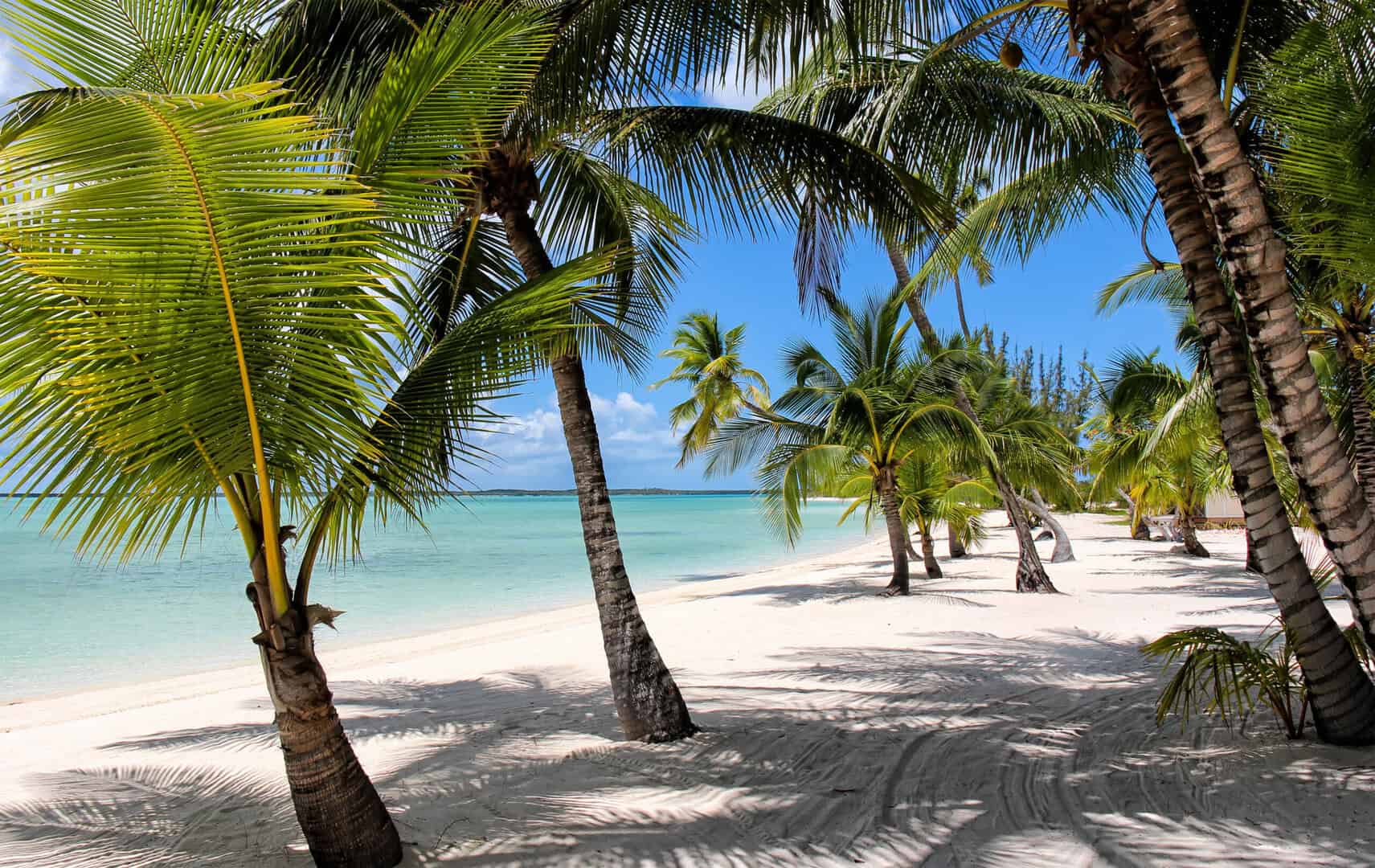 Viaggio low cost. Esplora le spiagge incantevoli di Andros, Bahamas