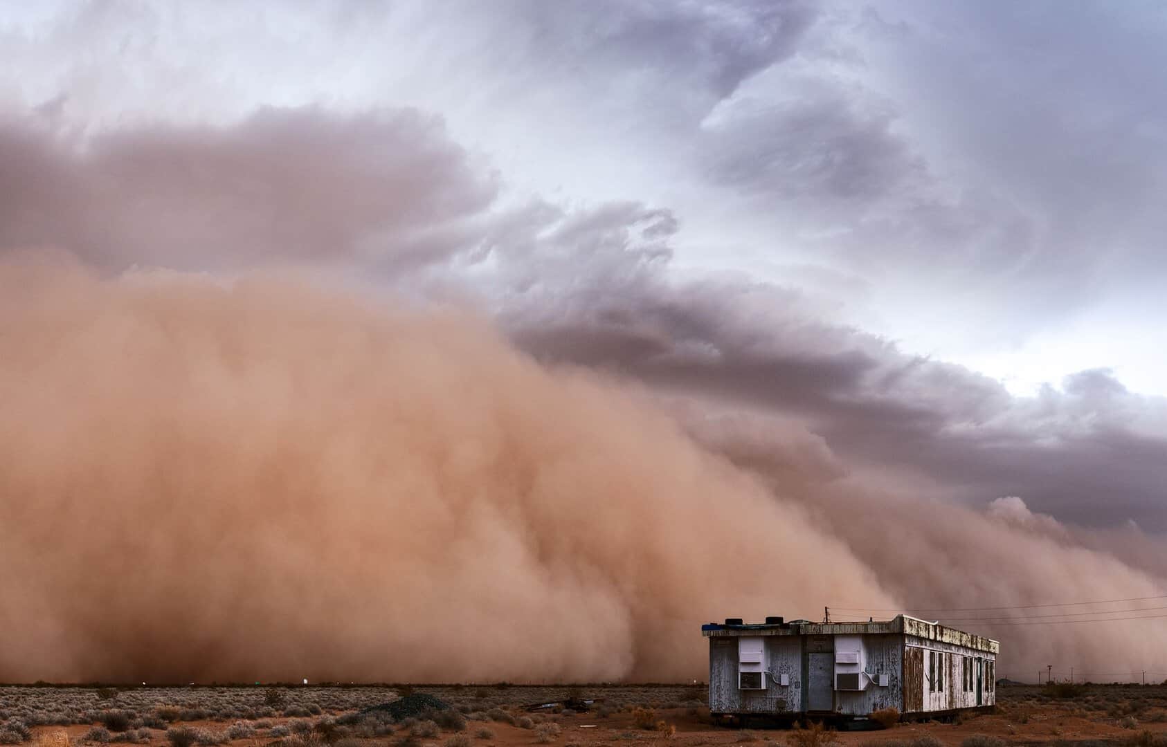 Anni ’30 del ‘900, un decennio dal clima caldissimo con record imbattuti in Nord America: ecco il motivo