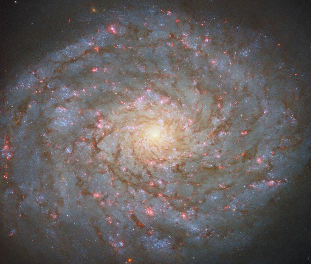Una nuova foto di Hubble cattura la galassia scintillante nella costellazione dei “capelli di Berenice”