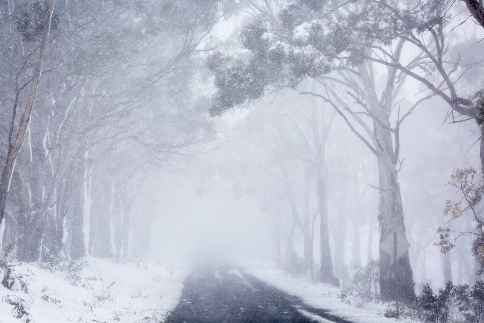 gelo neve australia 2024