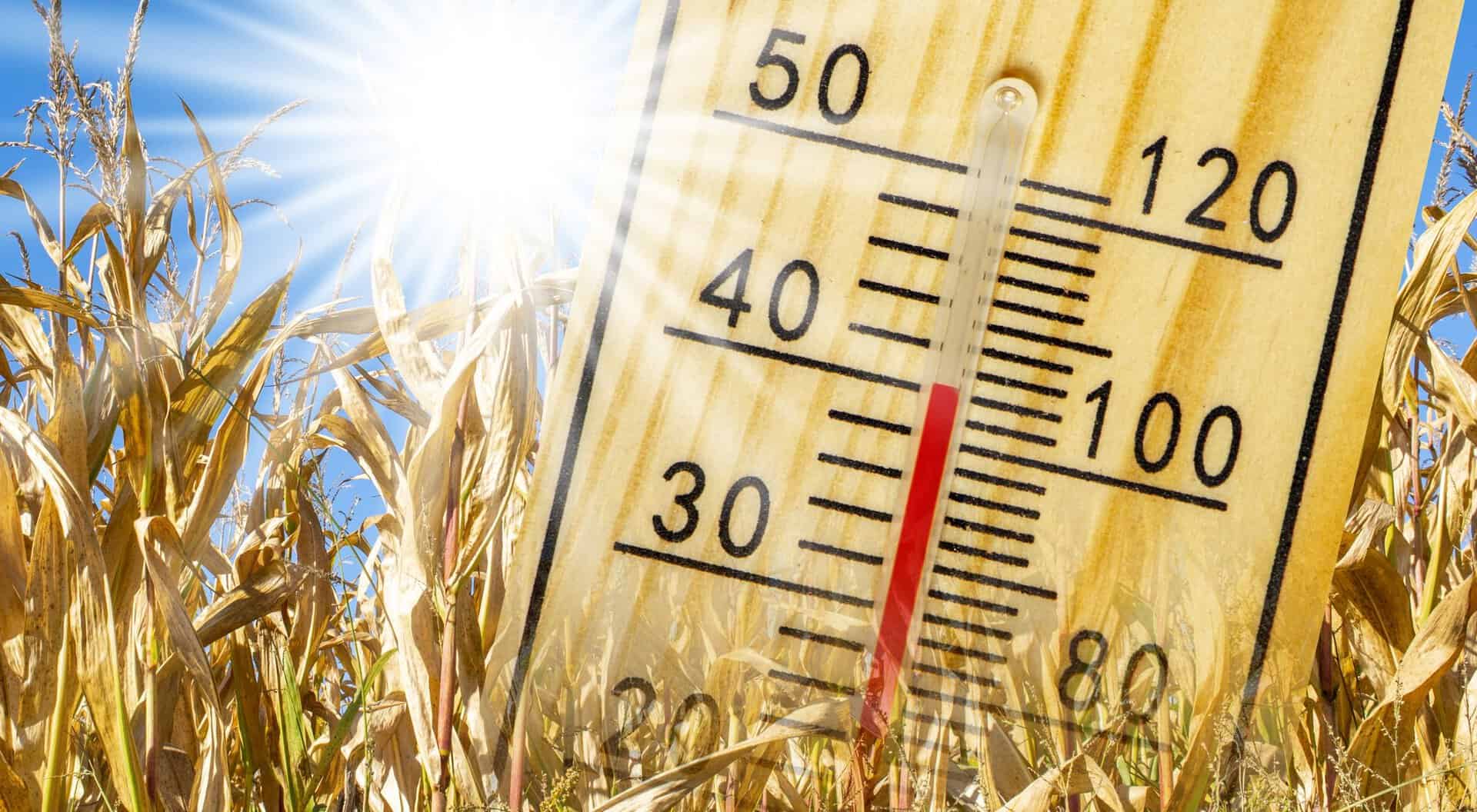 Giugno 2024 mai così caldo a livello globale, tredicesimo mese consecutivo record: superata la soglia di 1,5 gradi di riscaldamento