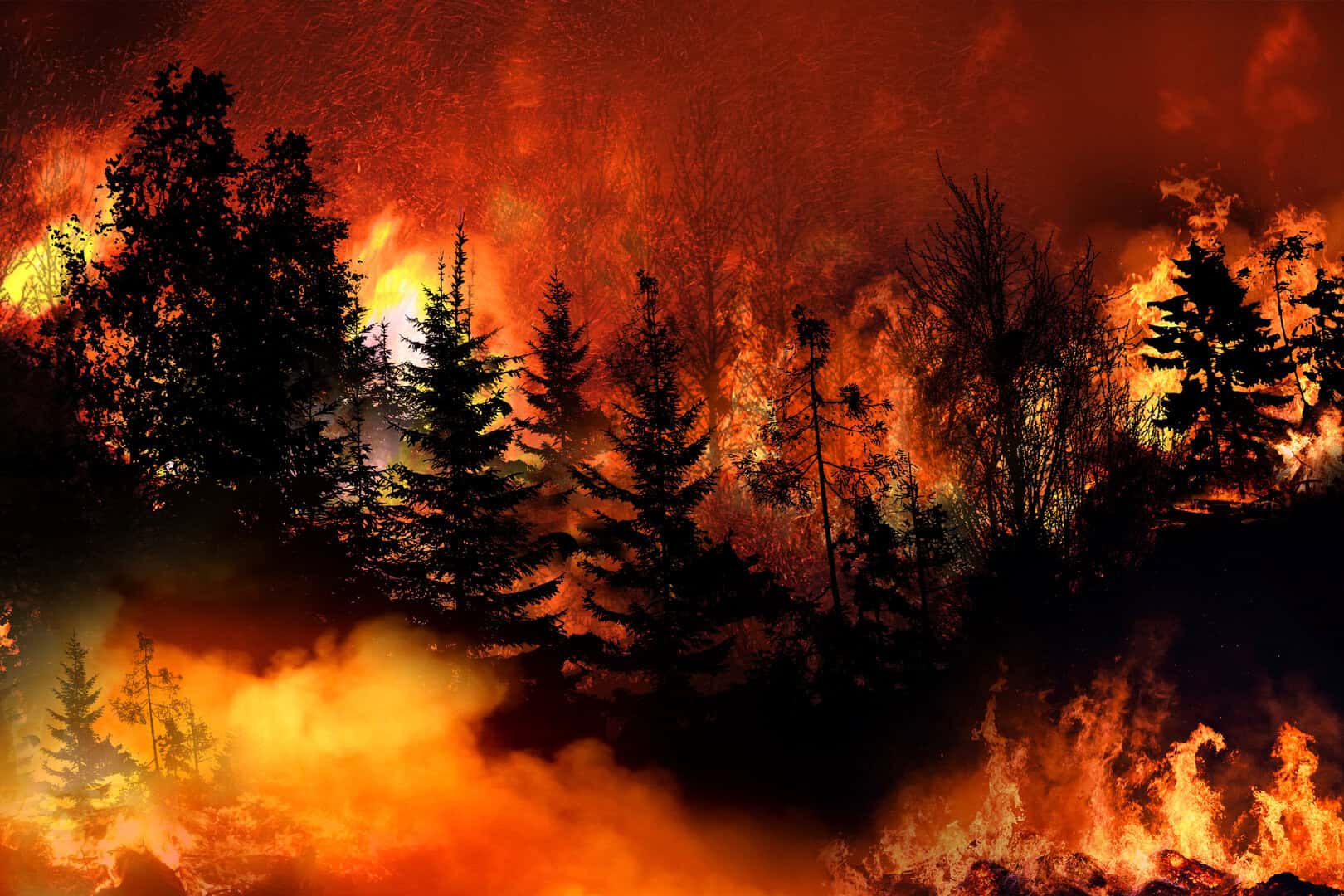 grande incendio california 2024