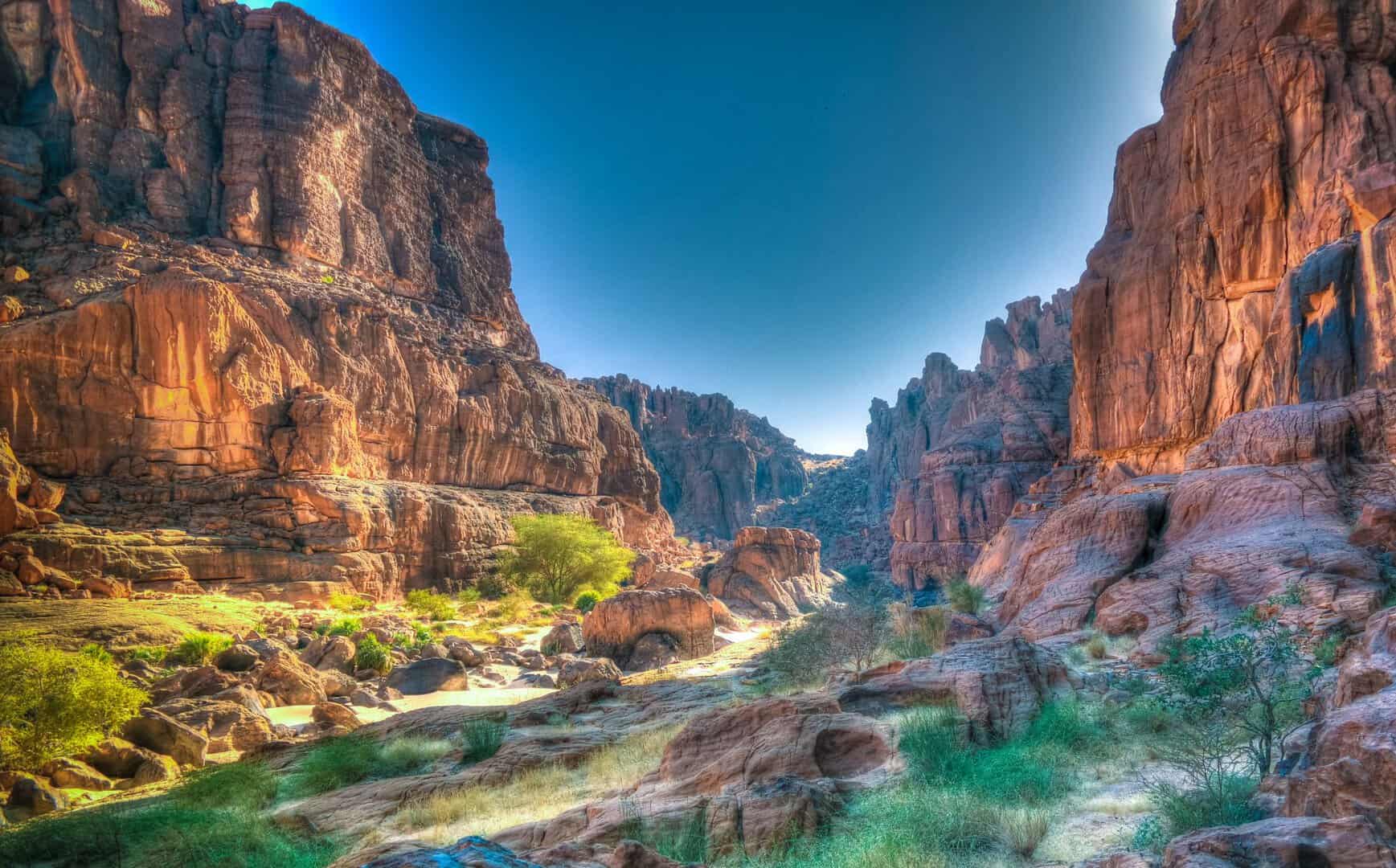 guelta archei sahara verde
