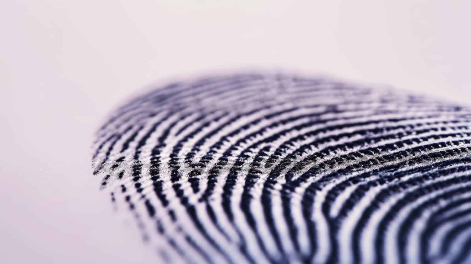 impronte digitali materiali ia