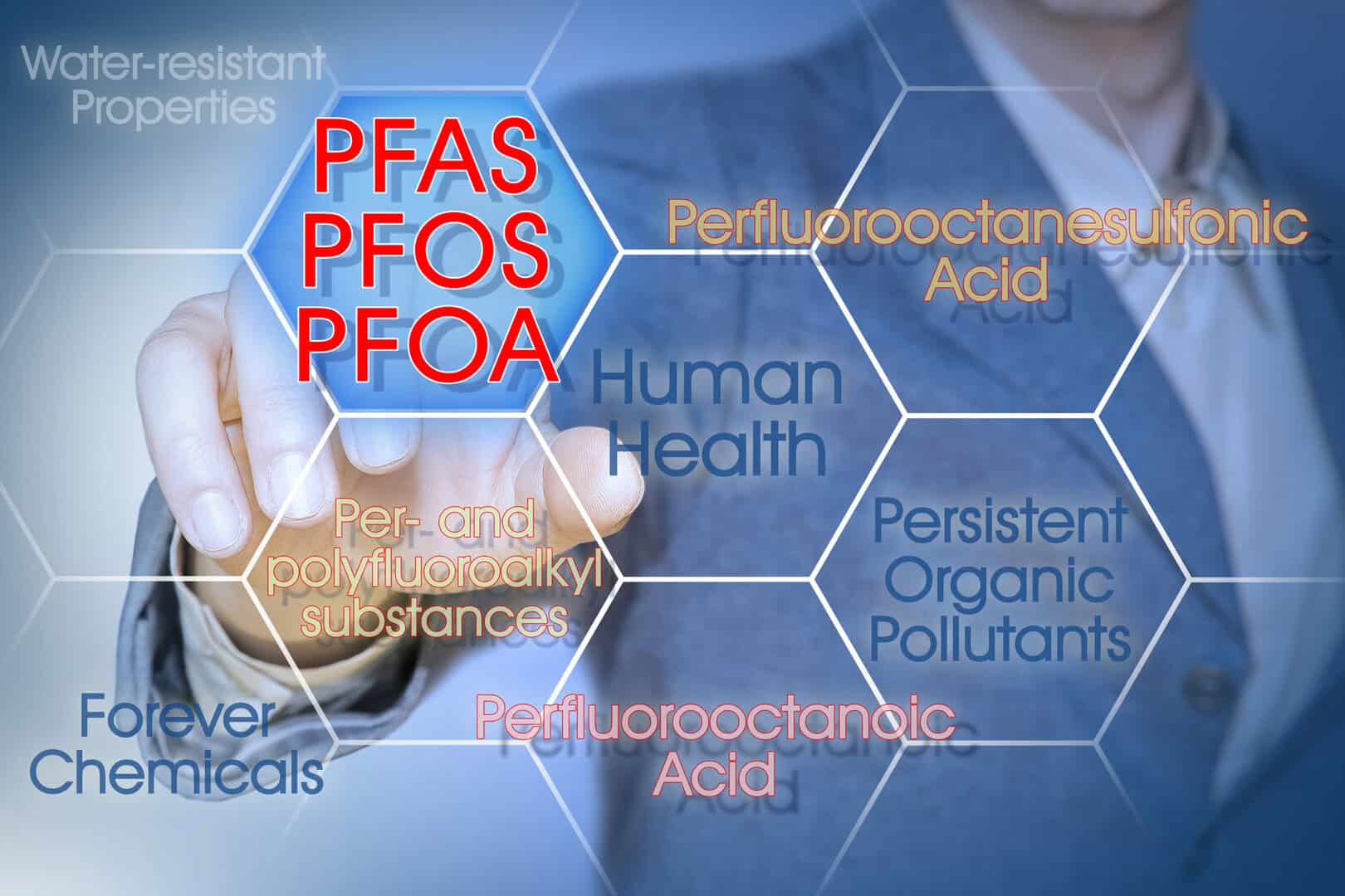 pfas madre neonato