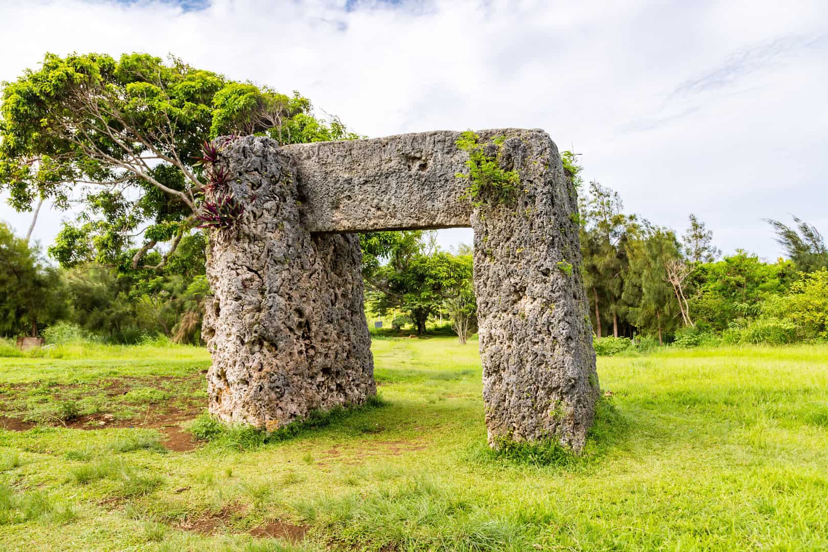 prime citta pacifico tonga