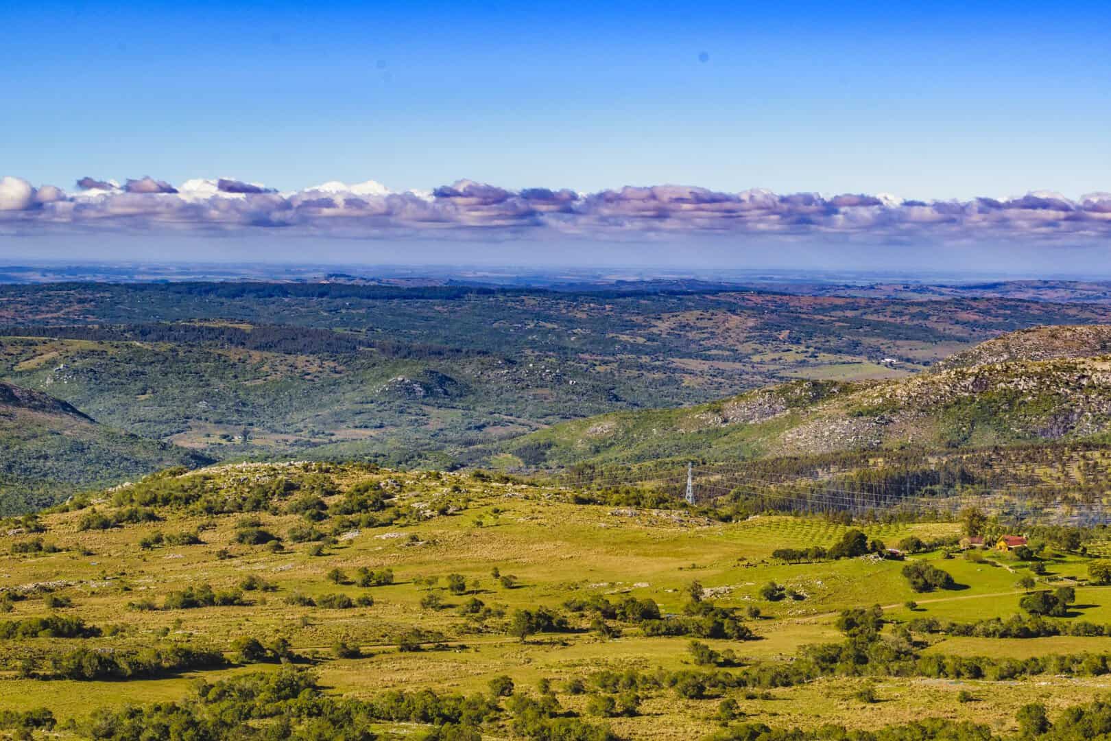 Lotta al cambiamento climatico: l’importanza delle savane nell’assorbimento del carbonio