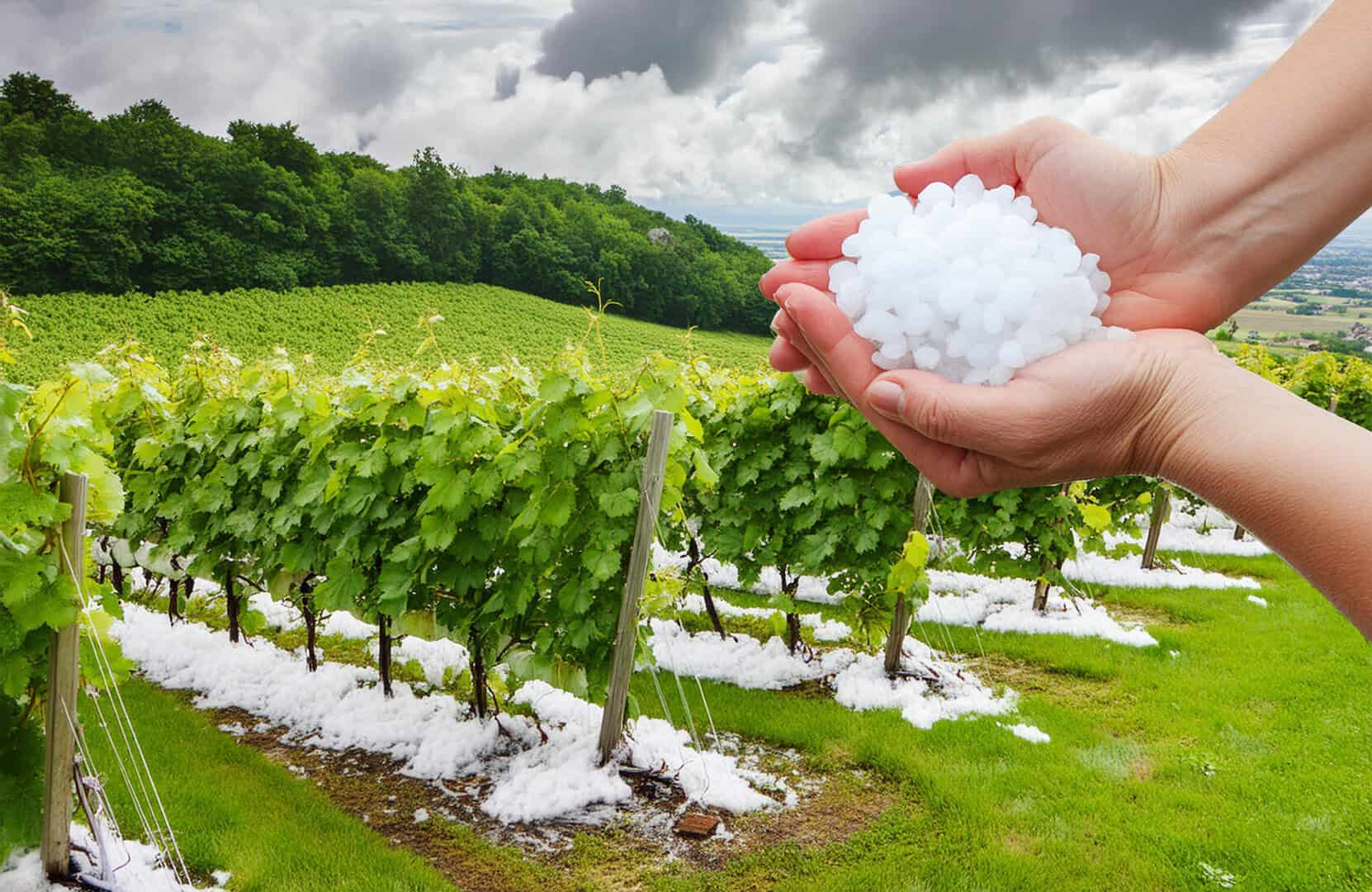tempeste grandine francia