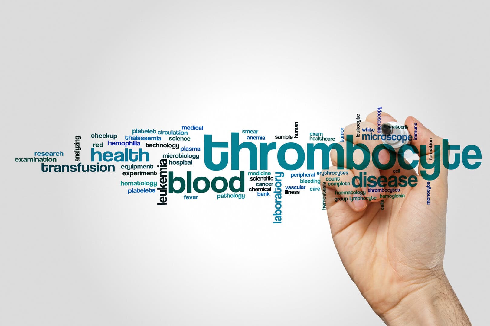 trombociti monociti sistema immunitario