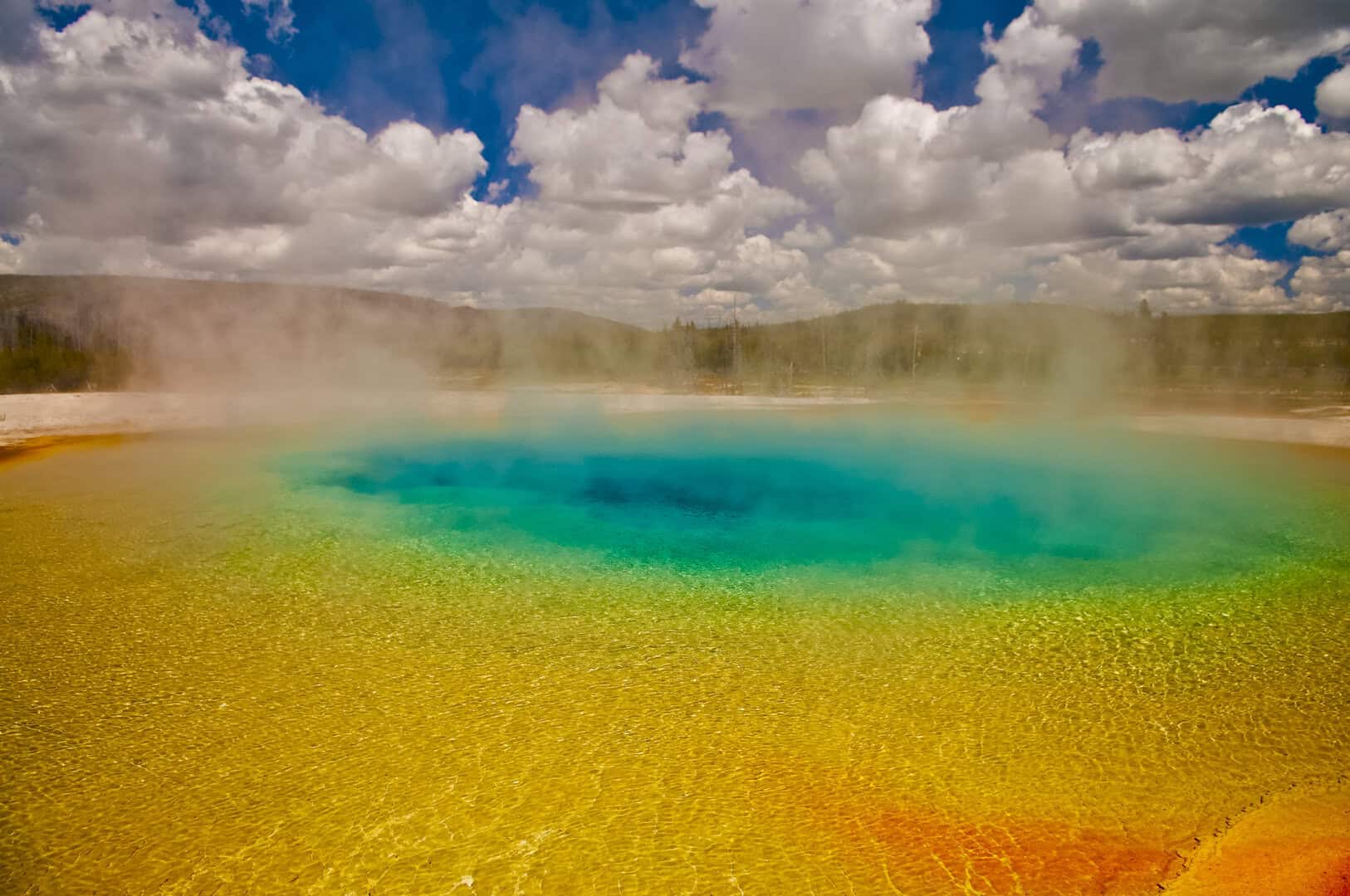yellowstone organismi metanogeni