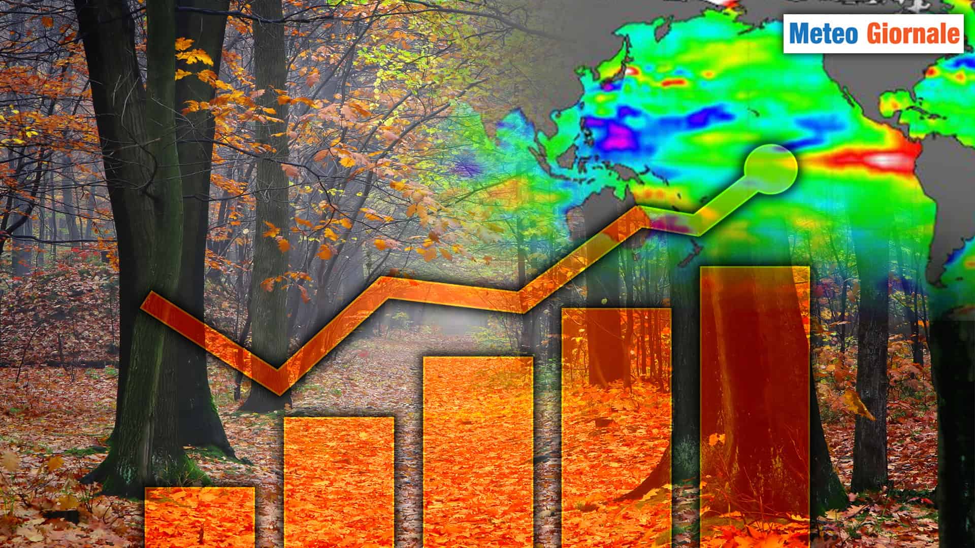 240824 F