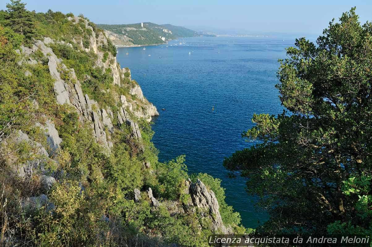 Meteo Trieste: Domani Pioggia, Seguono Nubi Sparse e Rovesci