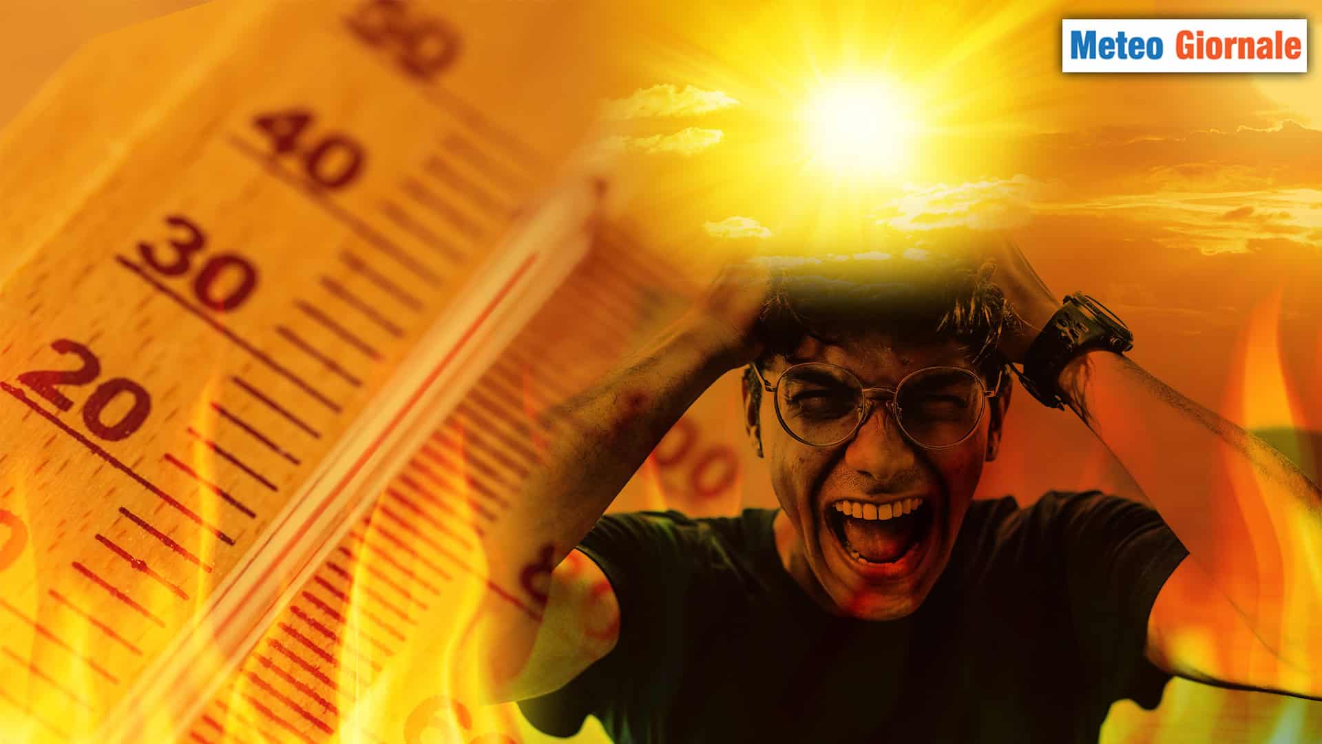 290824 C